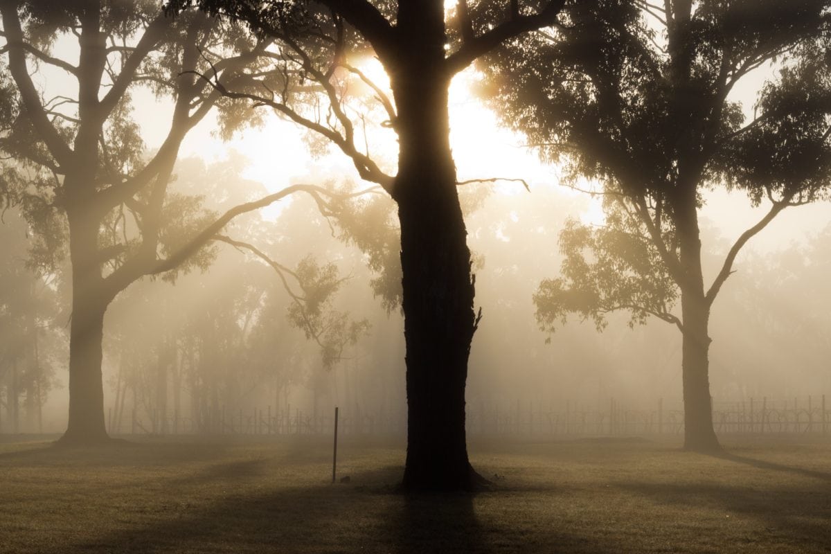 Calm Volcano Landscape In Fog Wallpapers