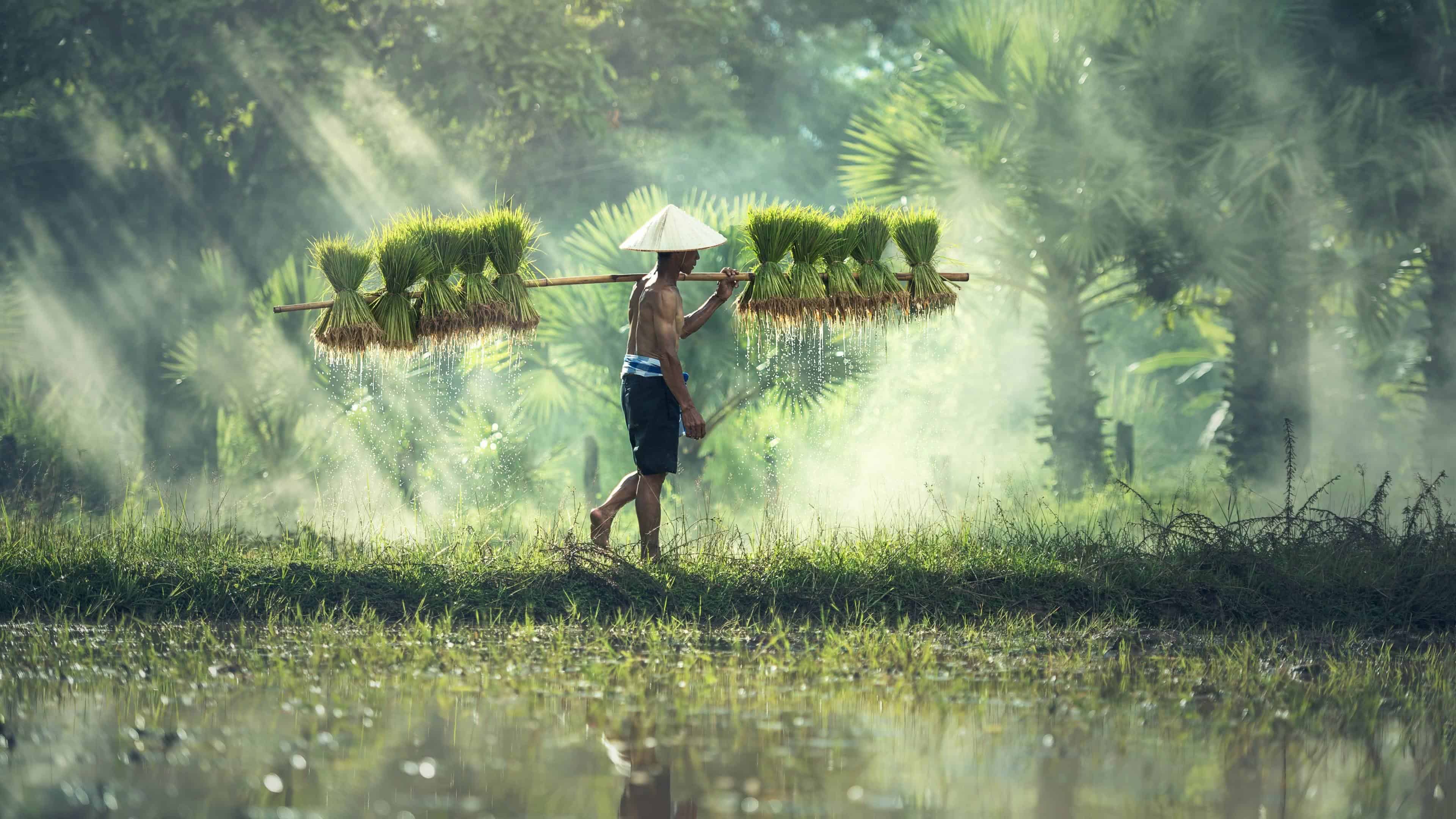 Cambodia Wallpapers