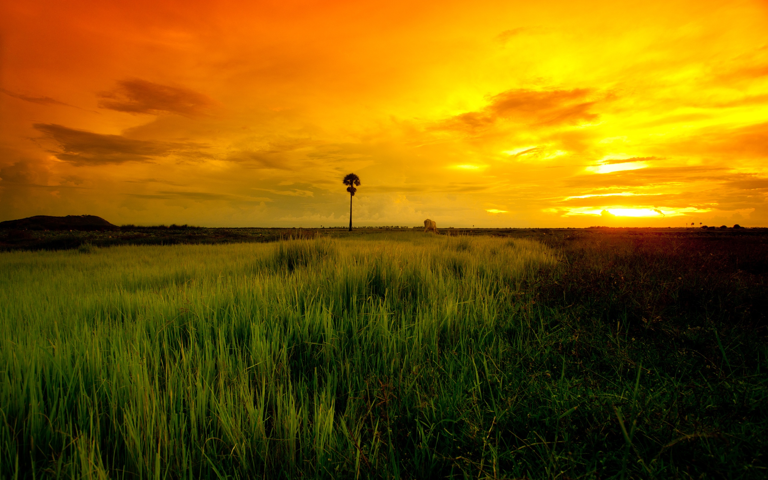 Cambodia Wallpapers