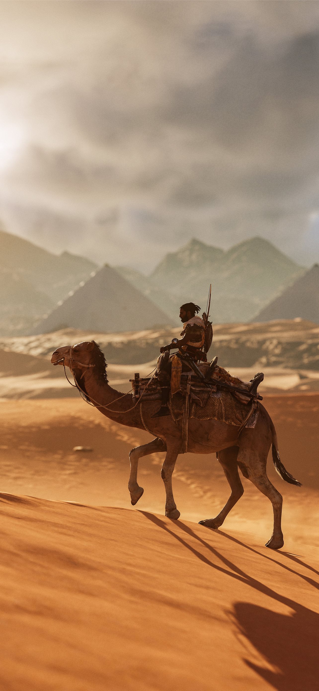 Camel Wallpapers