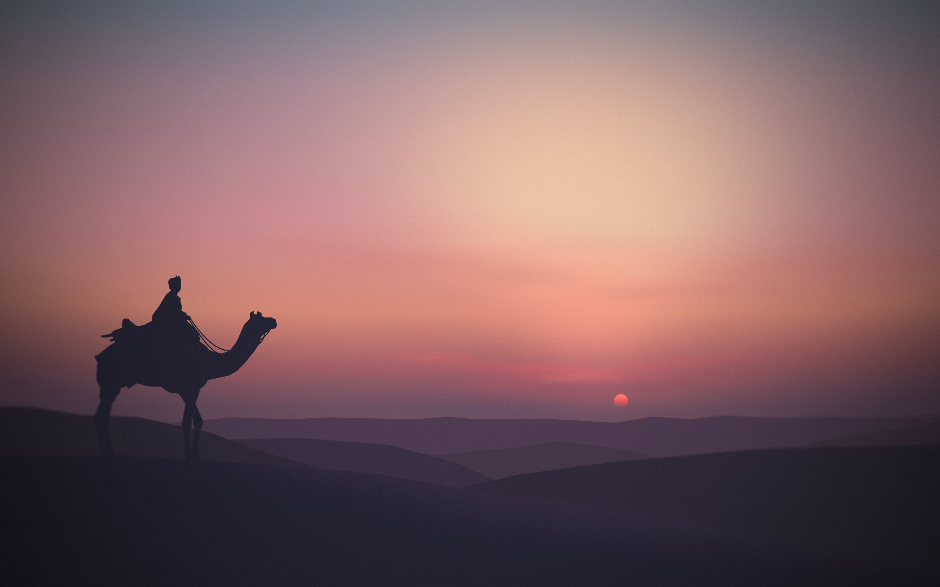 Camel Wallpapers