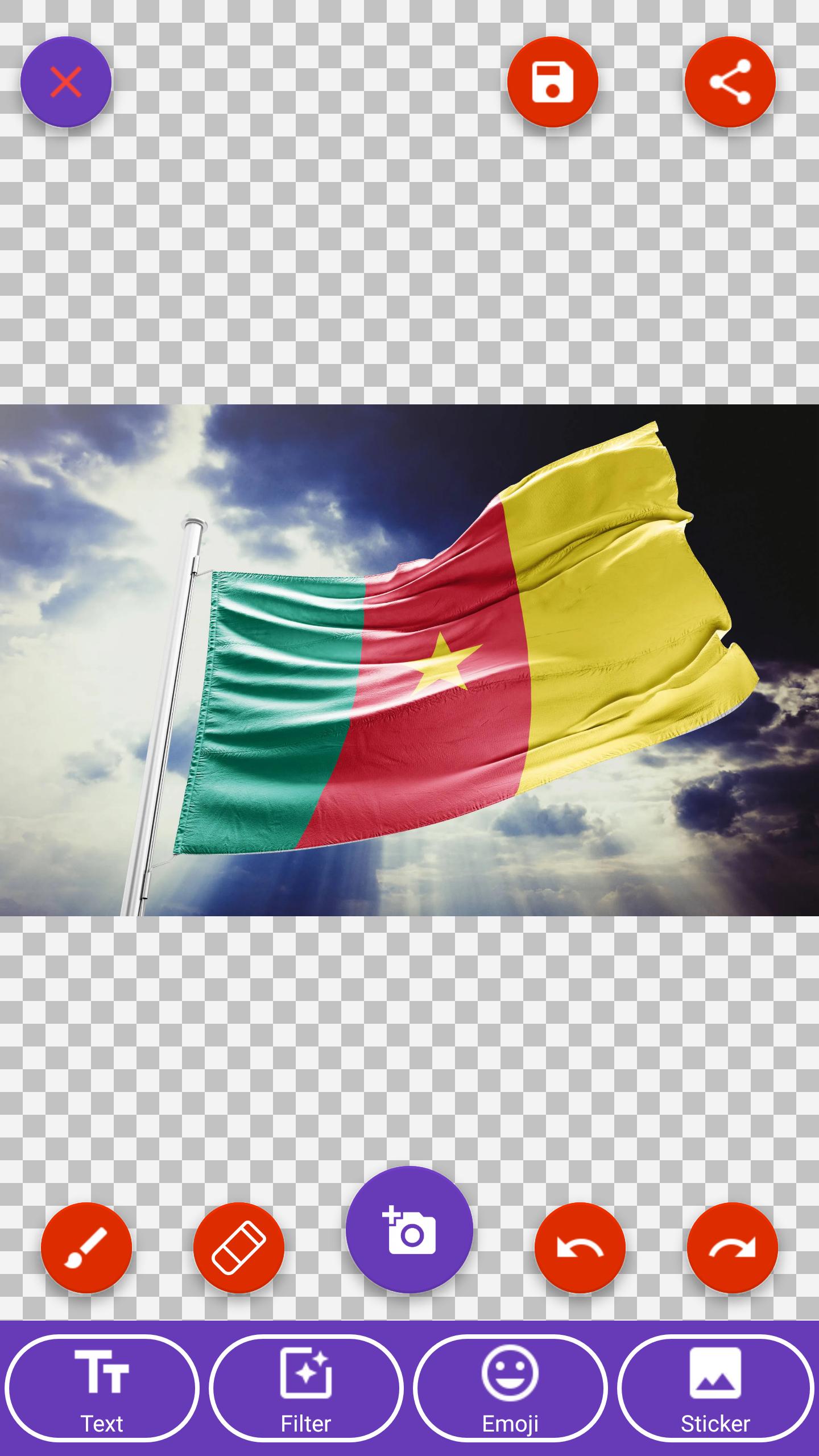 Cameroon Flag Wallpapers