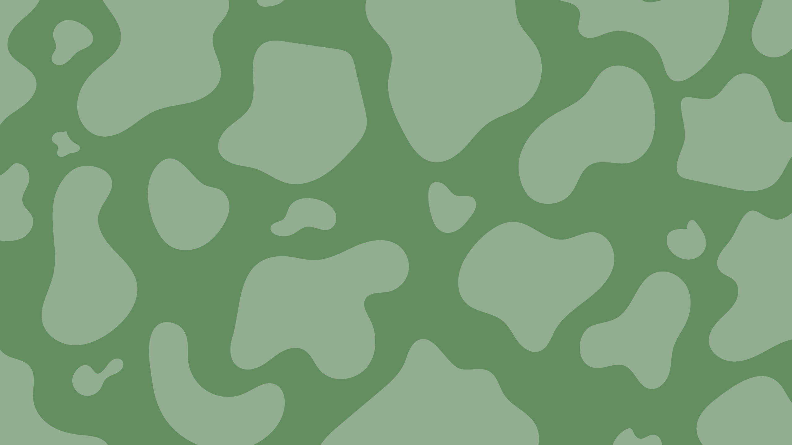 Camo Aesthetic Wallpapers