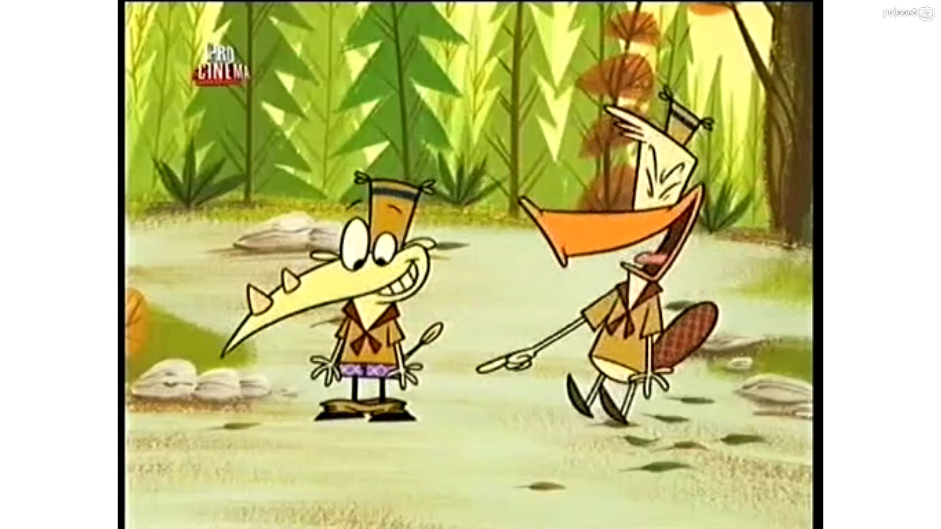 Camp Lazlo Wallpapers