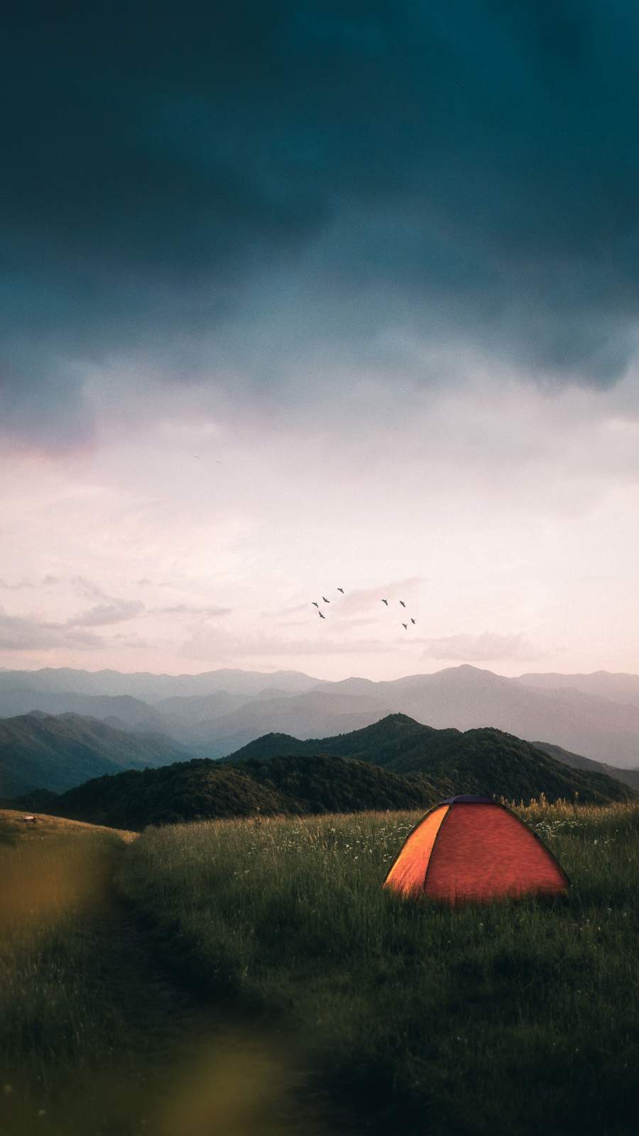 Camping Wallpapers