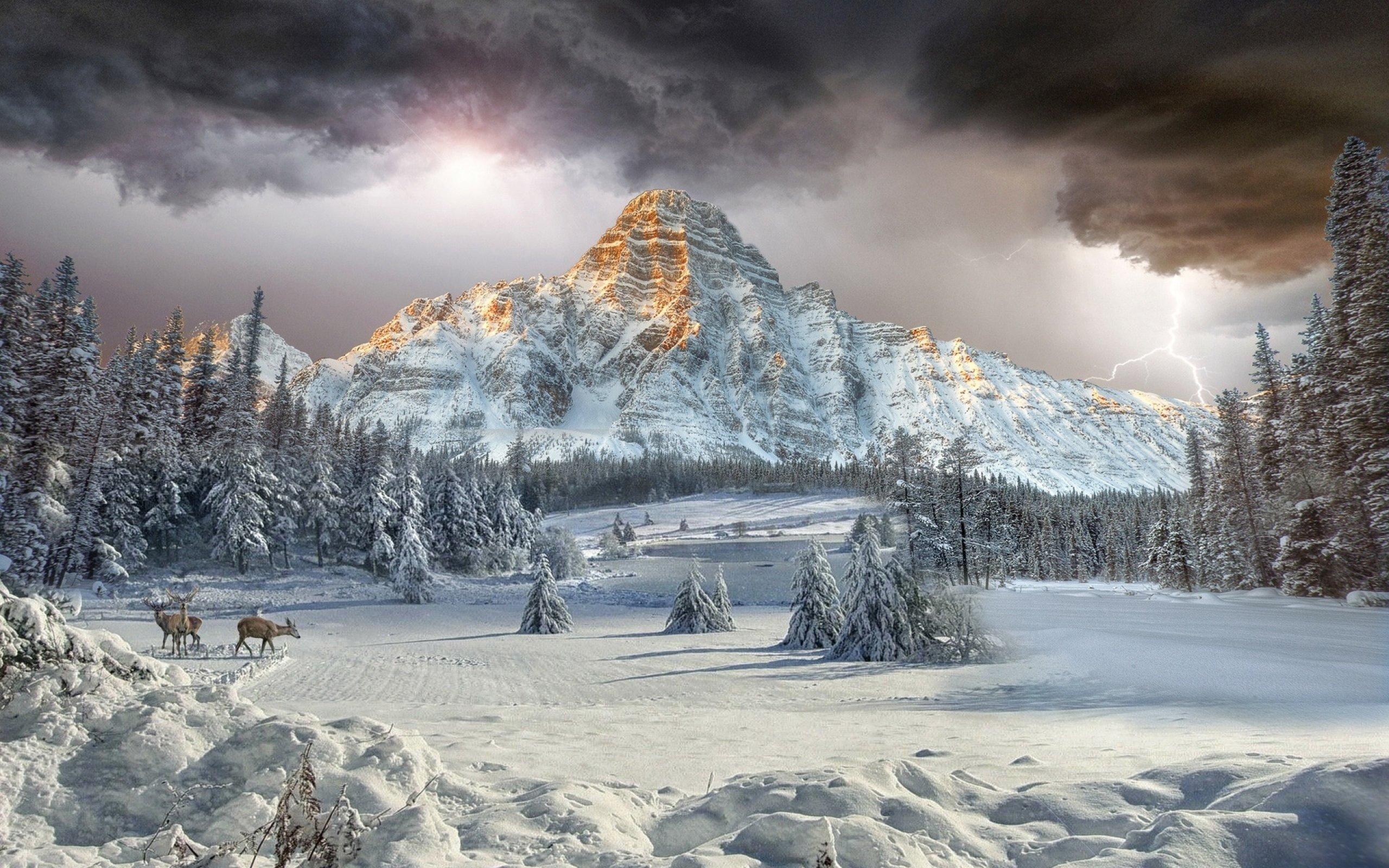 Canada Canadian Rockies In Winter Wallpapers