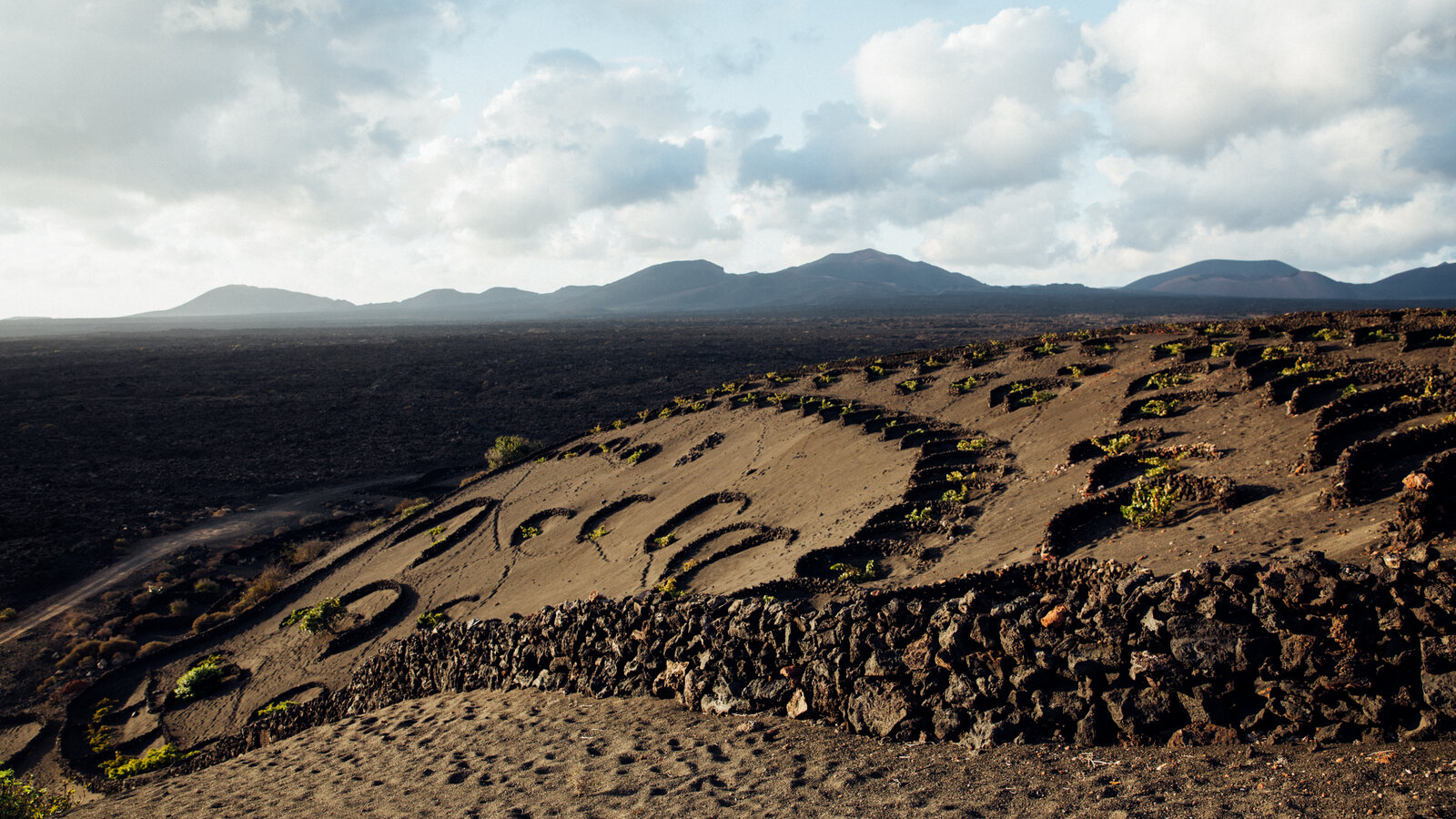 Canary Islands Vineyard Wallpapers