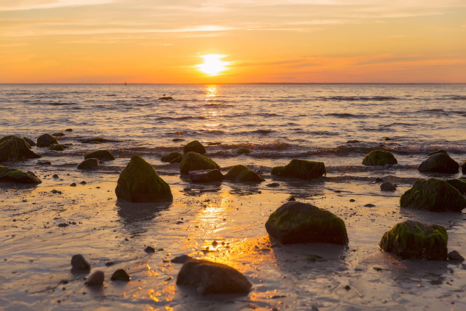 Cape Cod Beach Sunset Wallpapers