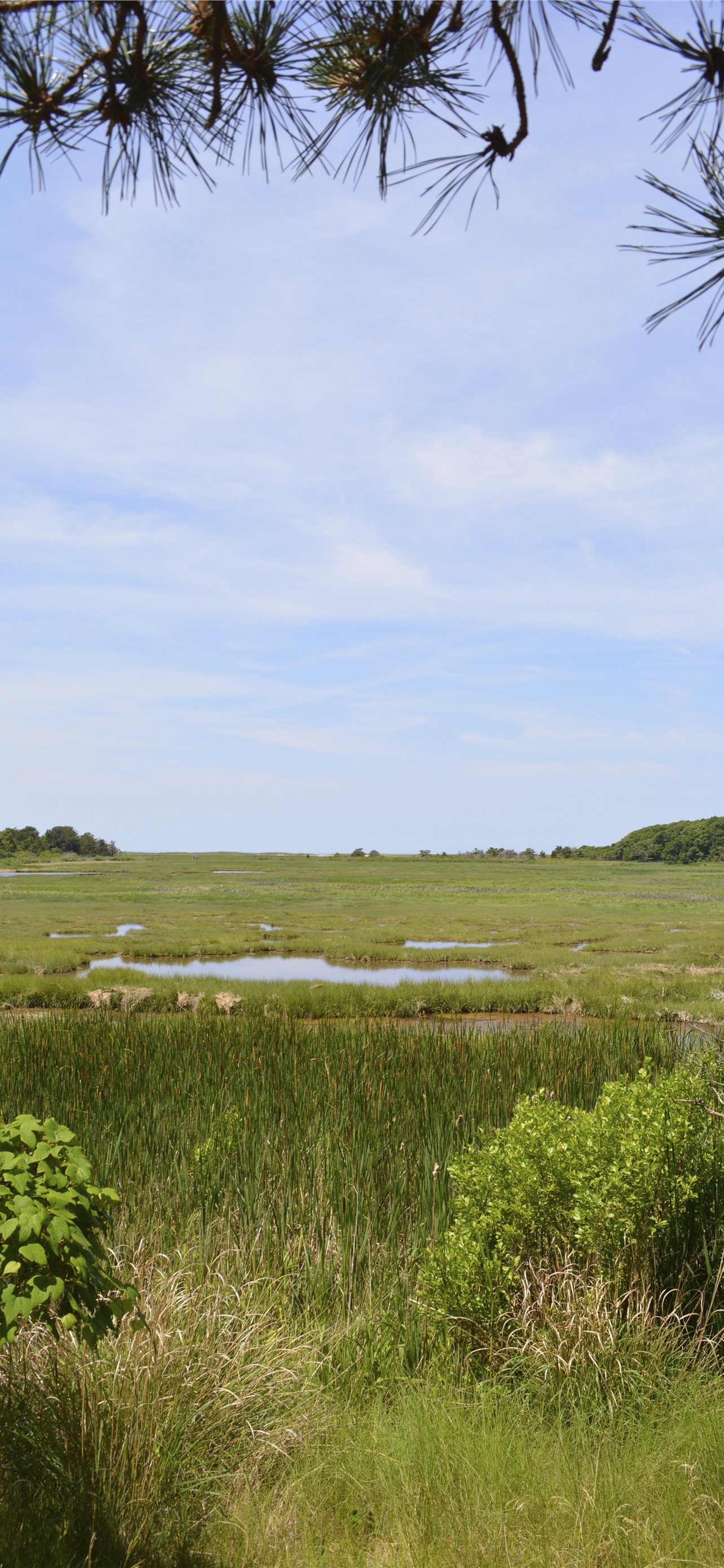 Cape Cod National Seashore Wallpapers