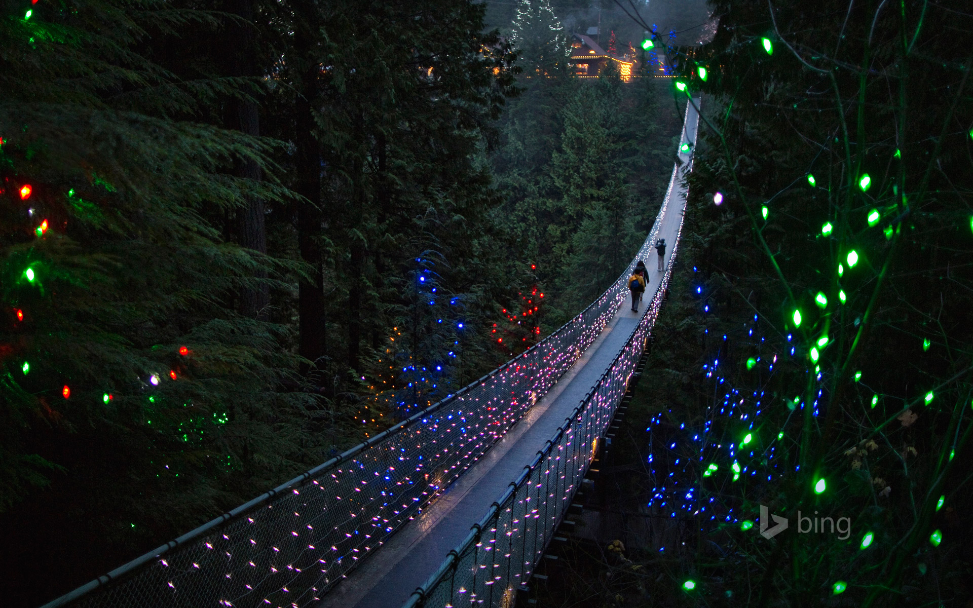 Capilano Suspension Bridge Wallpapers