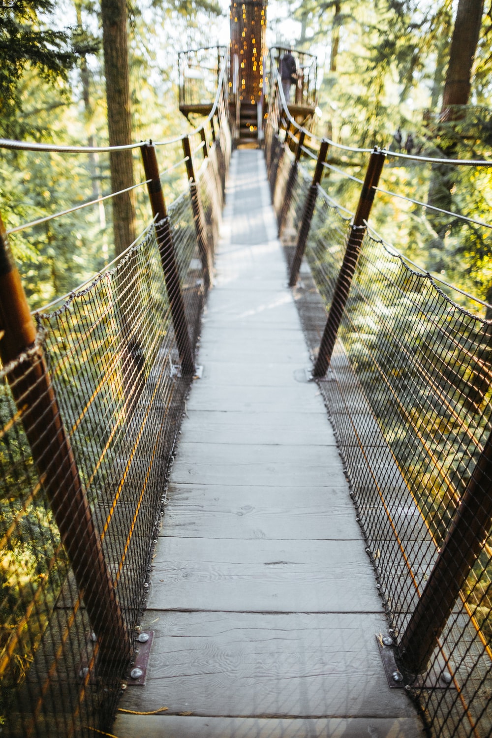 Capilano Suspension Bridge Wallpapers