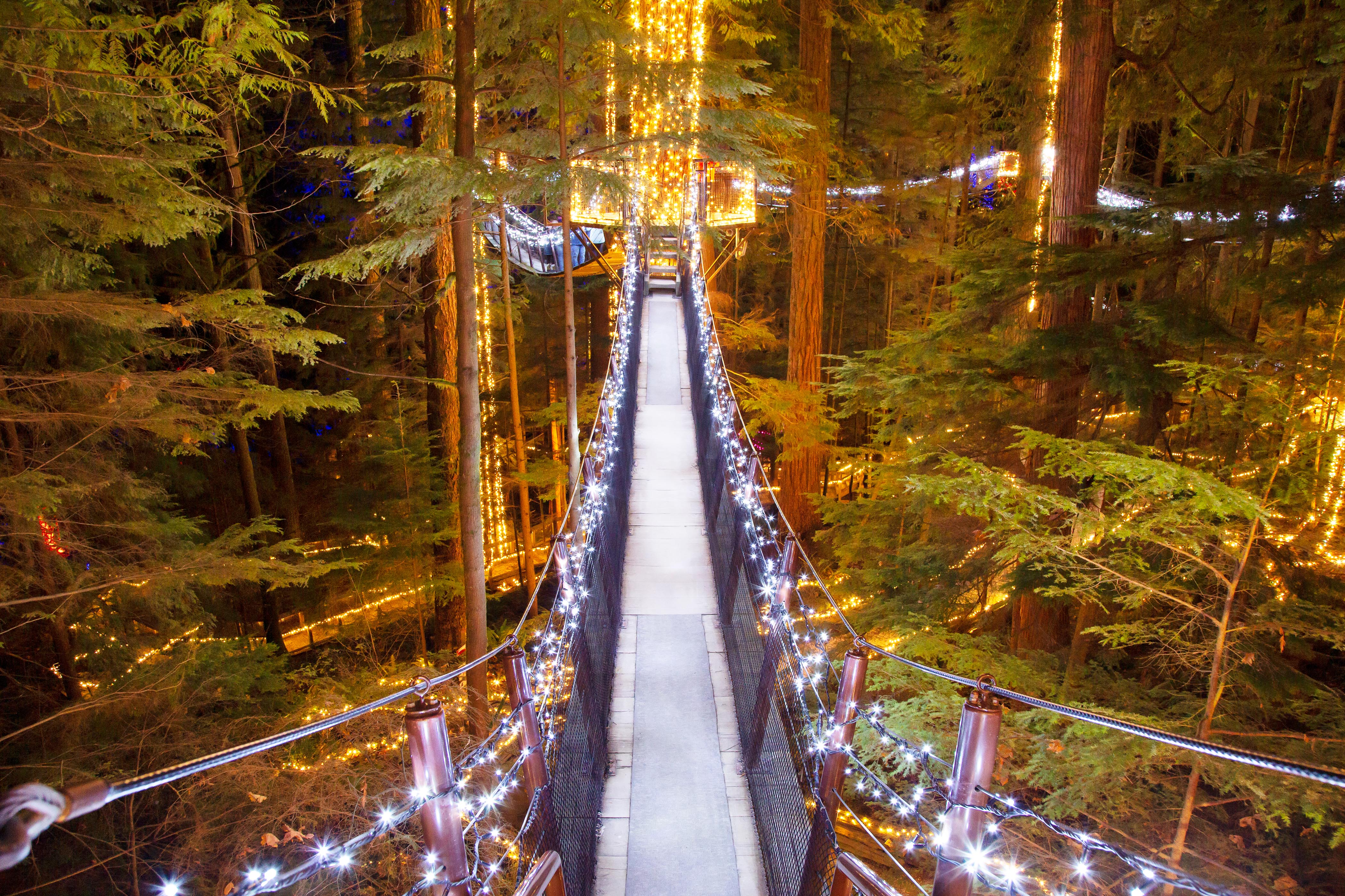 Capilano Suspension Bridge Wallpapers