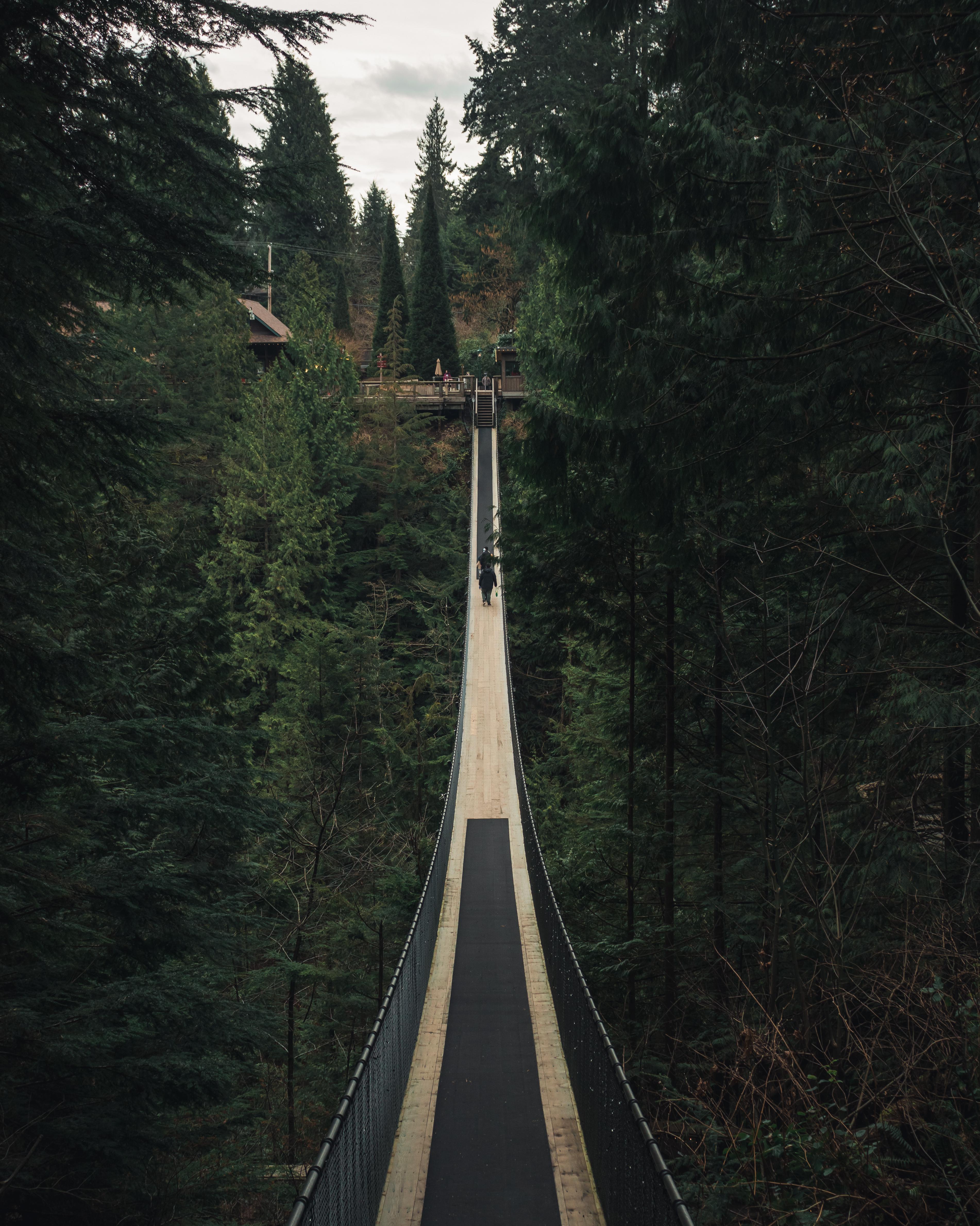 Capilano Suspension Bridge Wallpapers