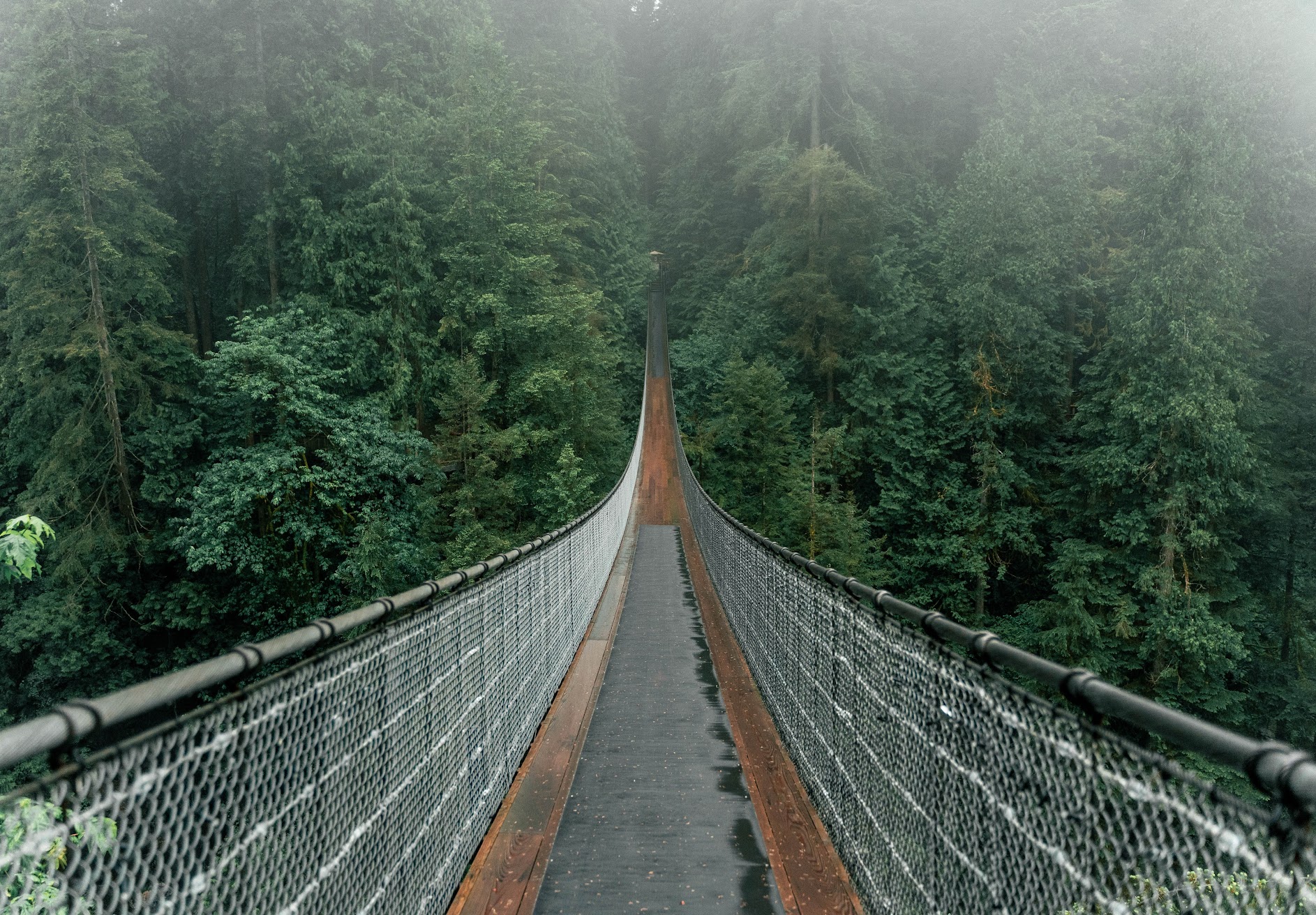 Capilano Suspension Bridge Wallpapers