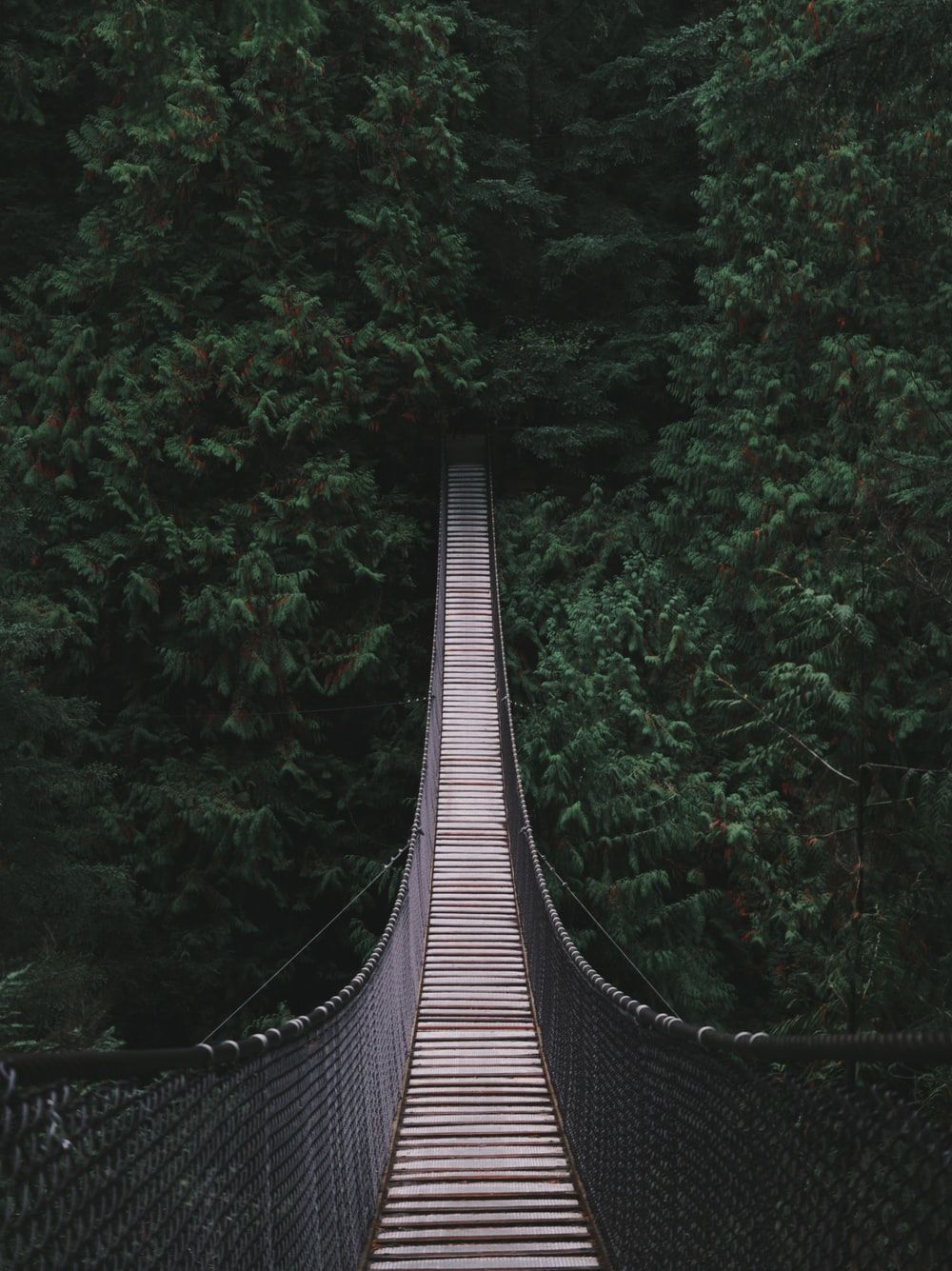 Capilano Suspension Bridge Wallpapers