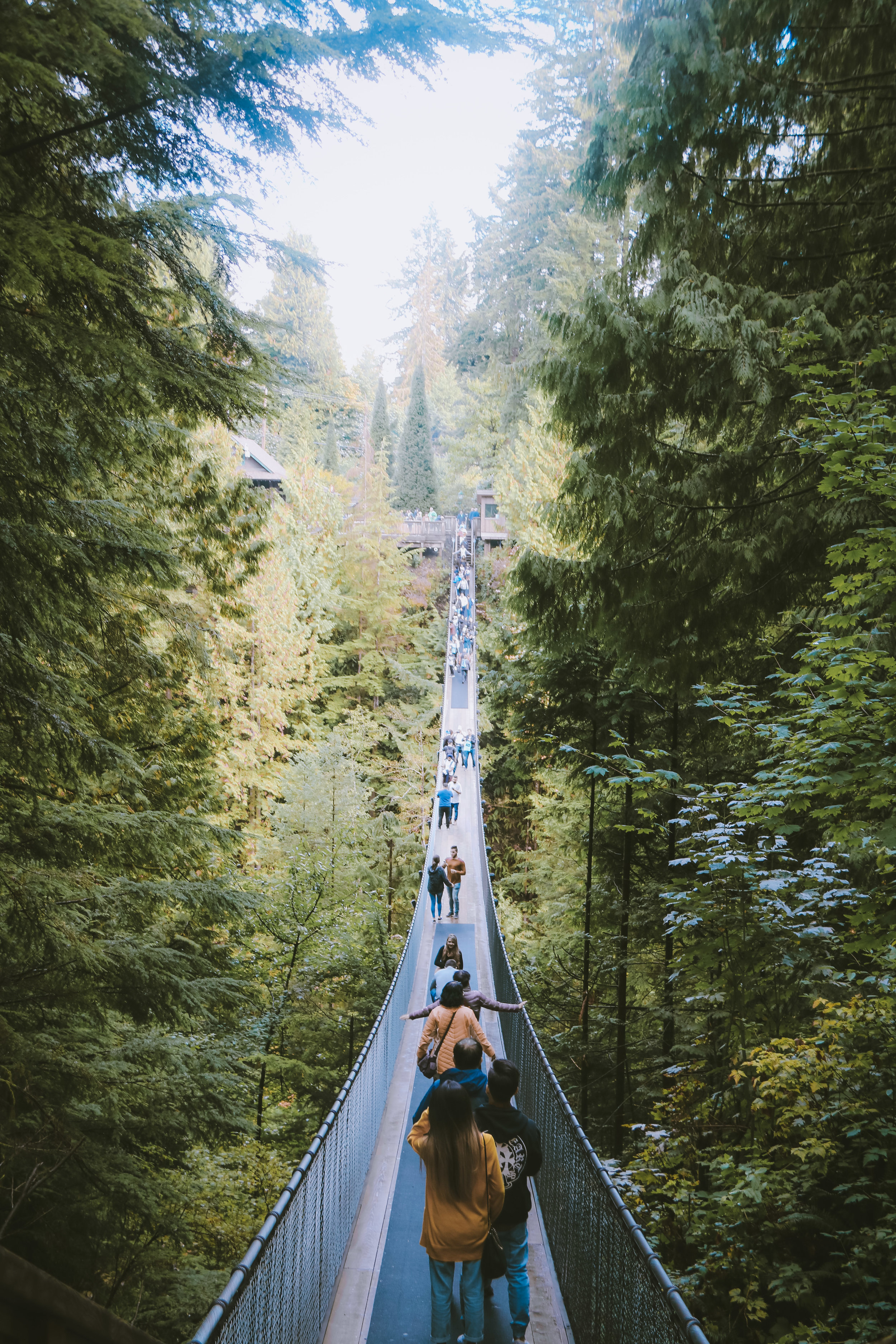 Capilano Suspension Bridge Wallpapers