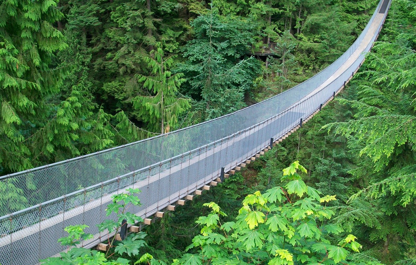 Capilano Suspension Bridge Wallpapers