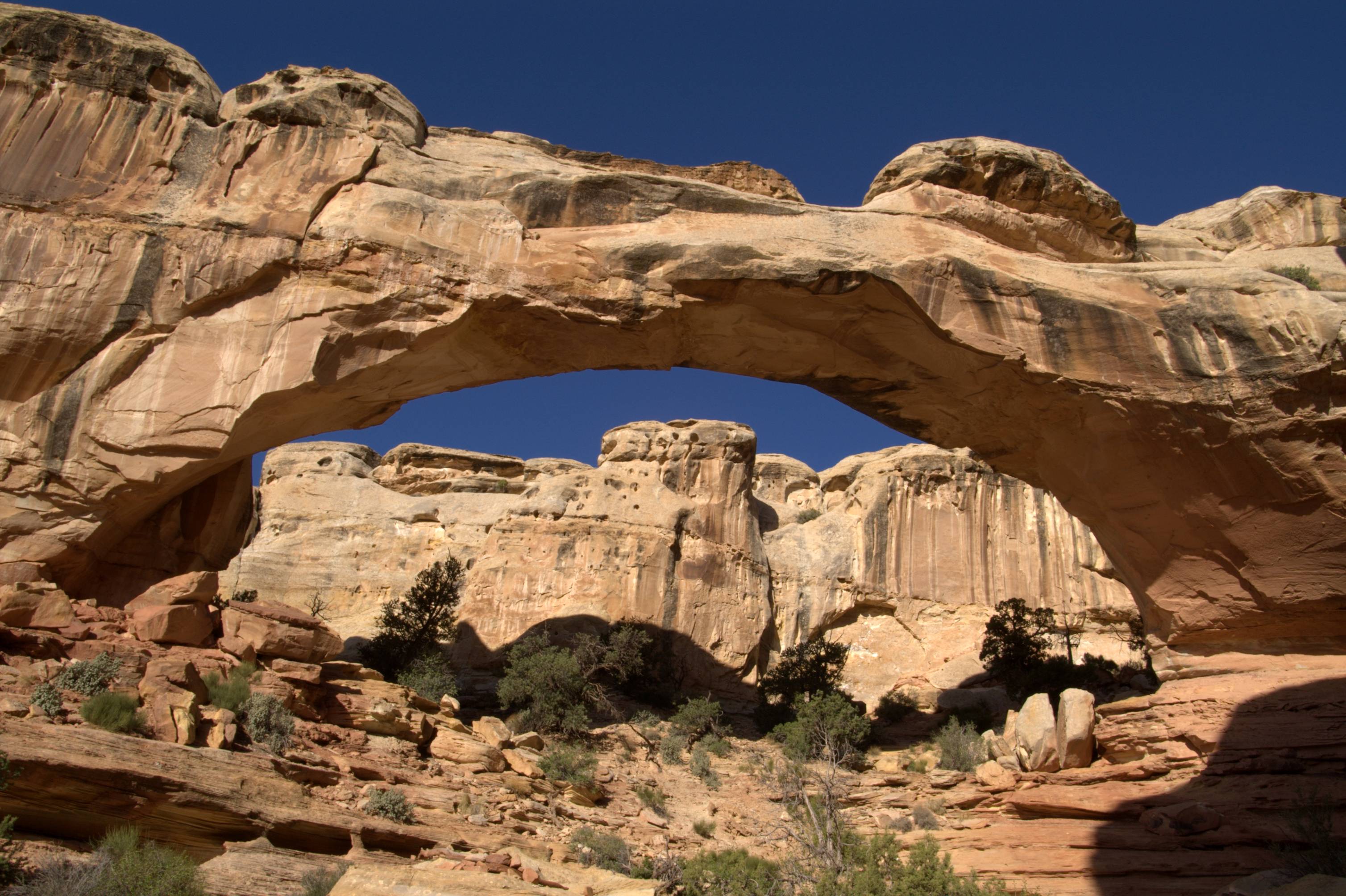 Capitol Reef National Park Wallpapers