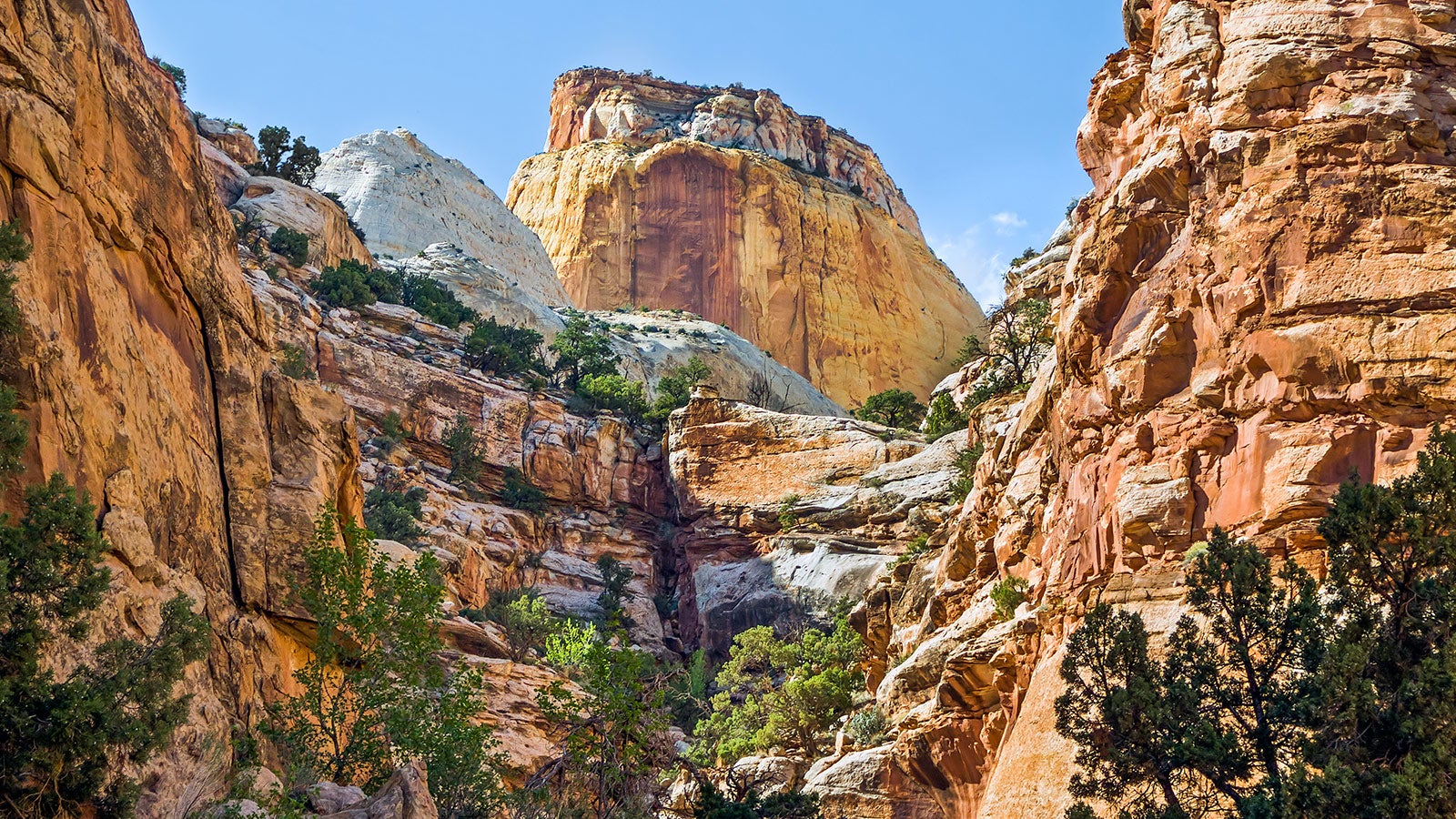 Capitol Reef National Park Wallpapers