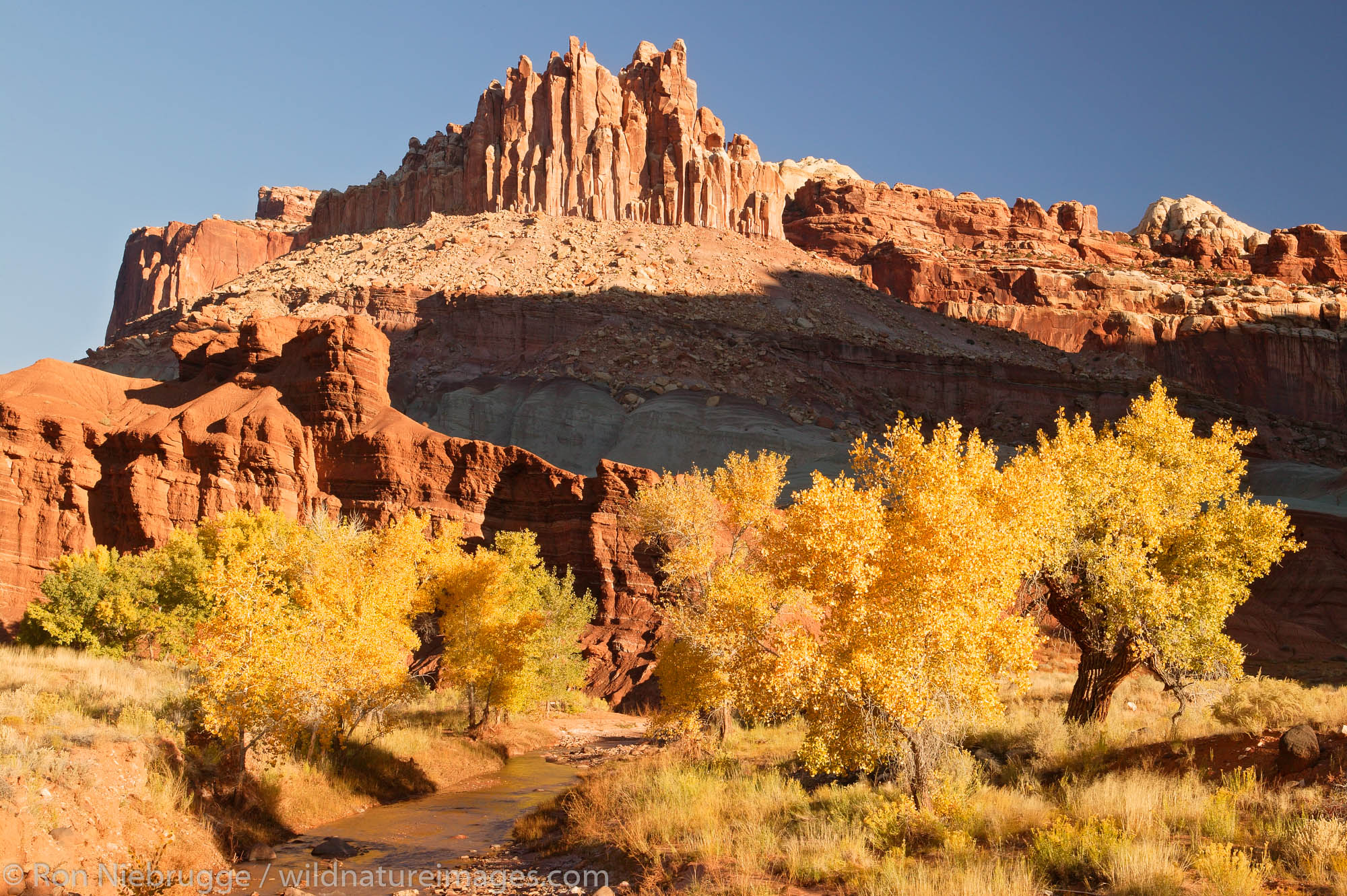 Capitol Reef National Park Wallpapers