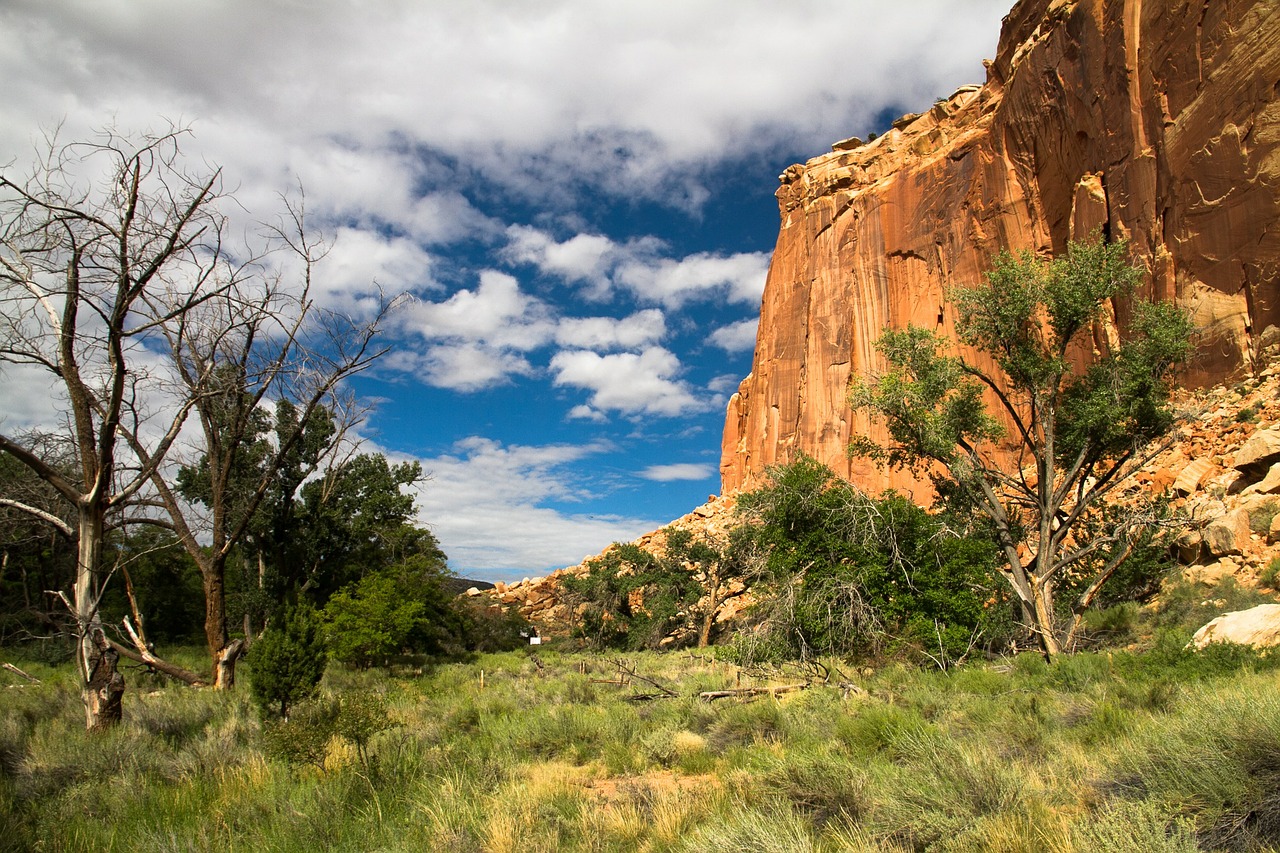 Capitol Reef National Park Wallpapers