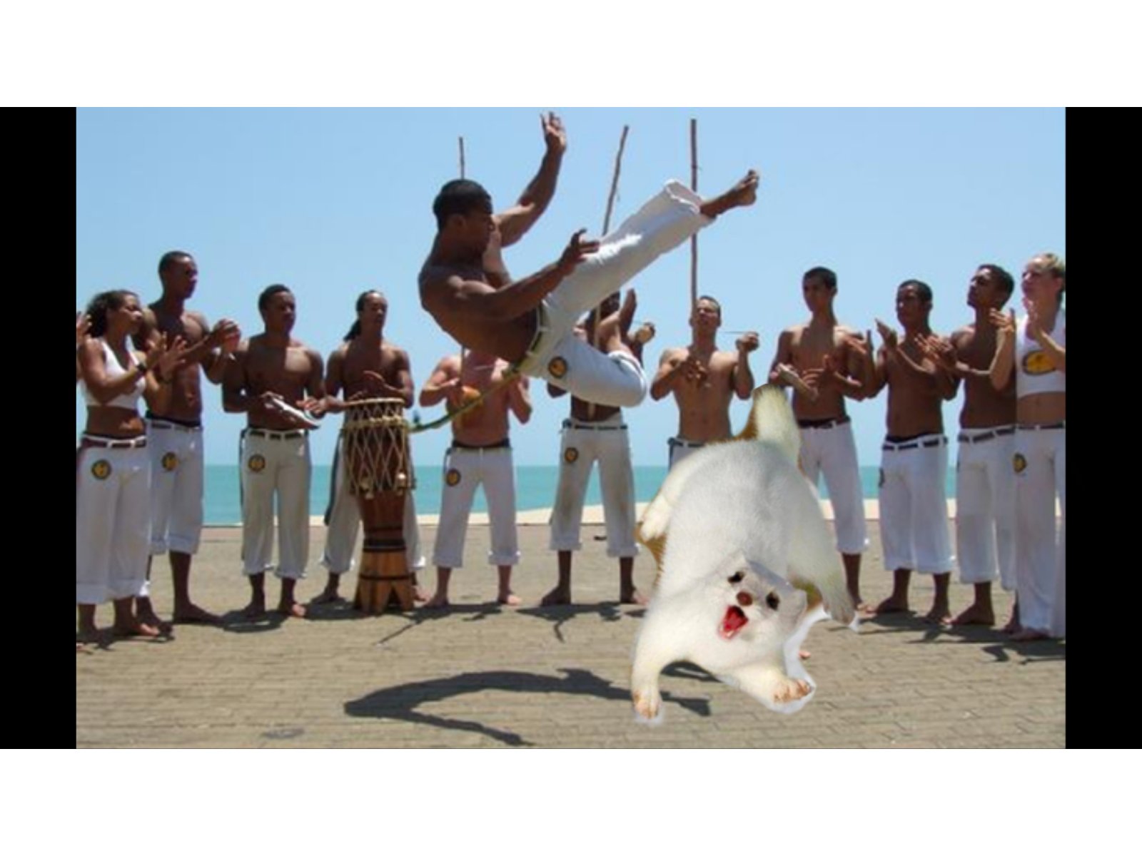 Capoeira Wallpapers