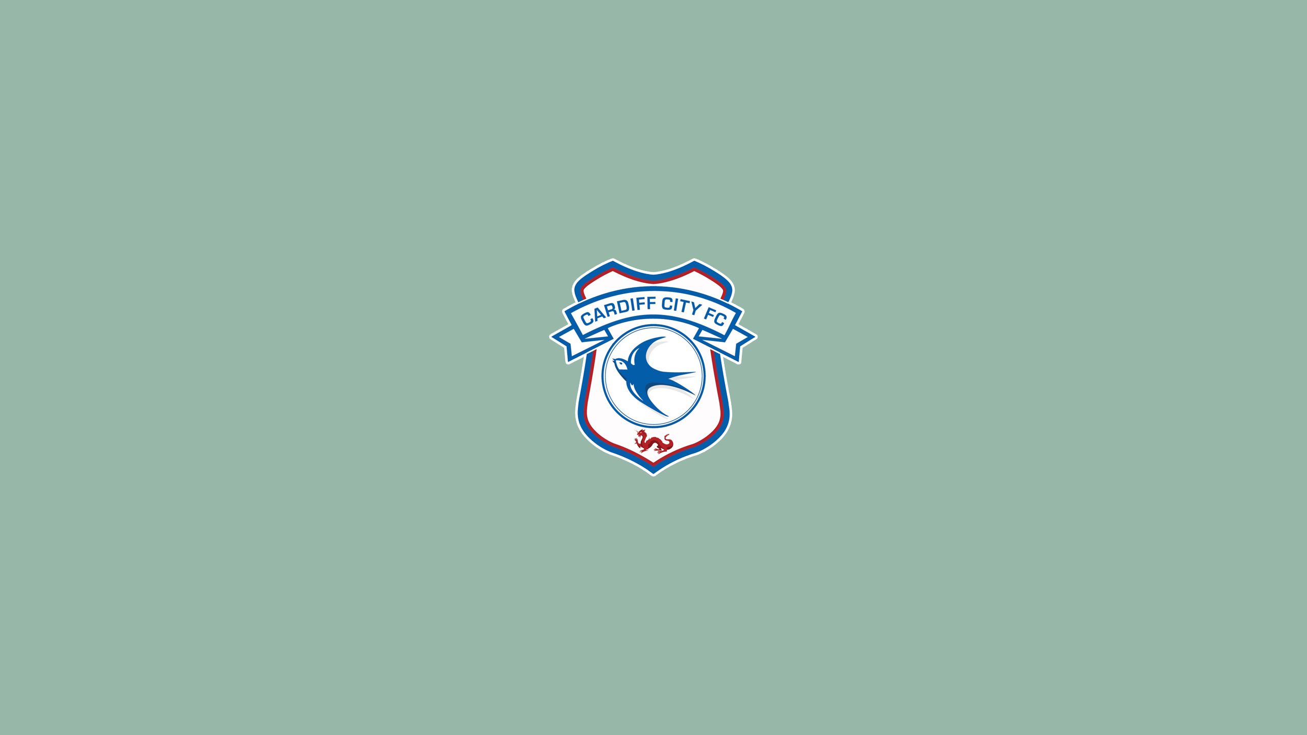 Cardiff City F.C. Wallpapers