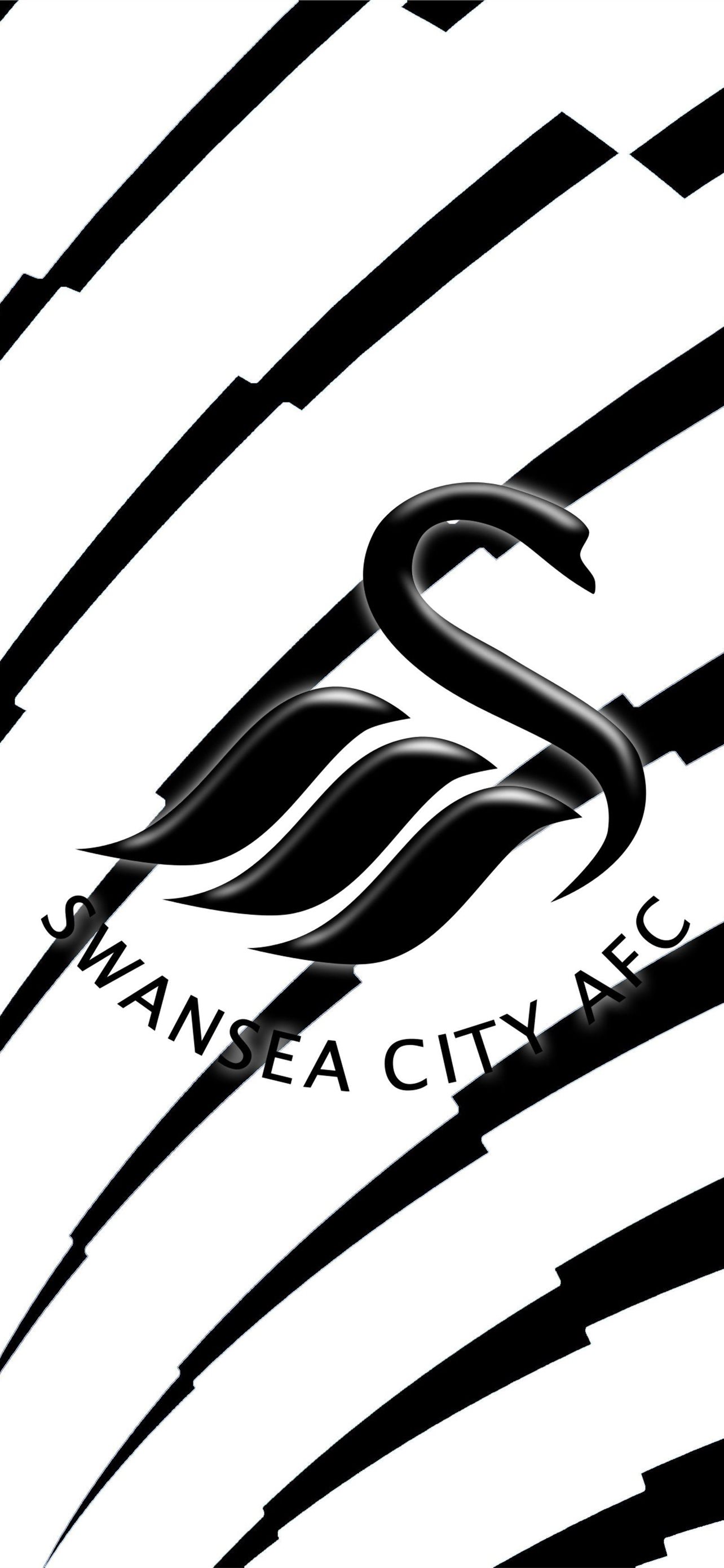 Cardiff City F.C. Wallpapers