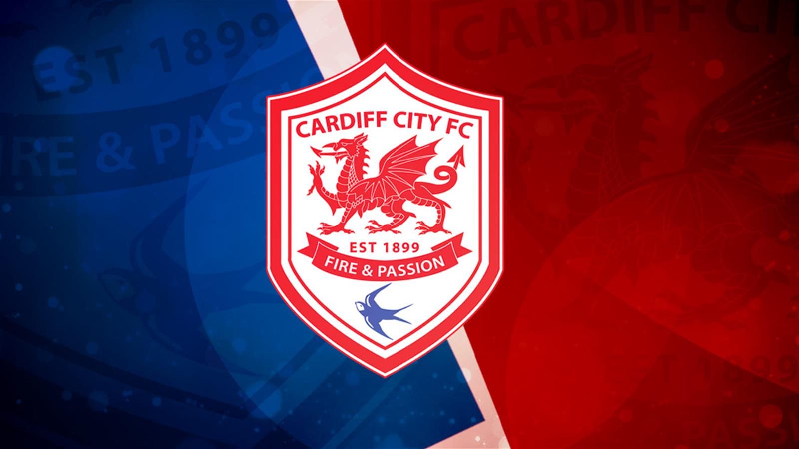 Cardiff City F.C. Wallpapers