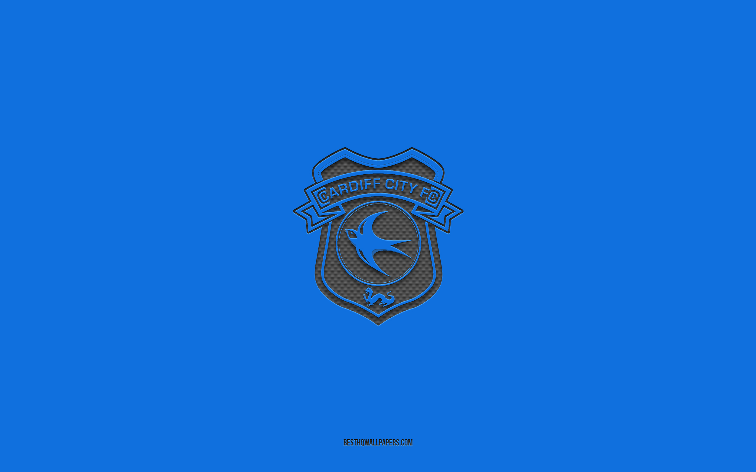 Cardiff City F.C. Wallpapers