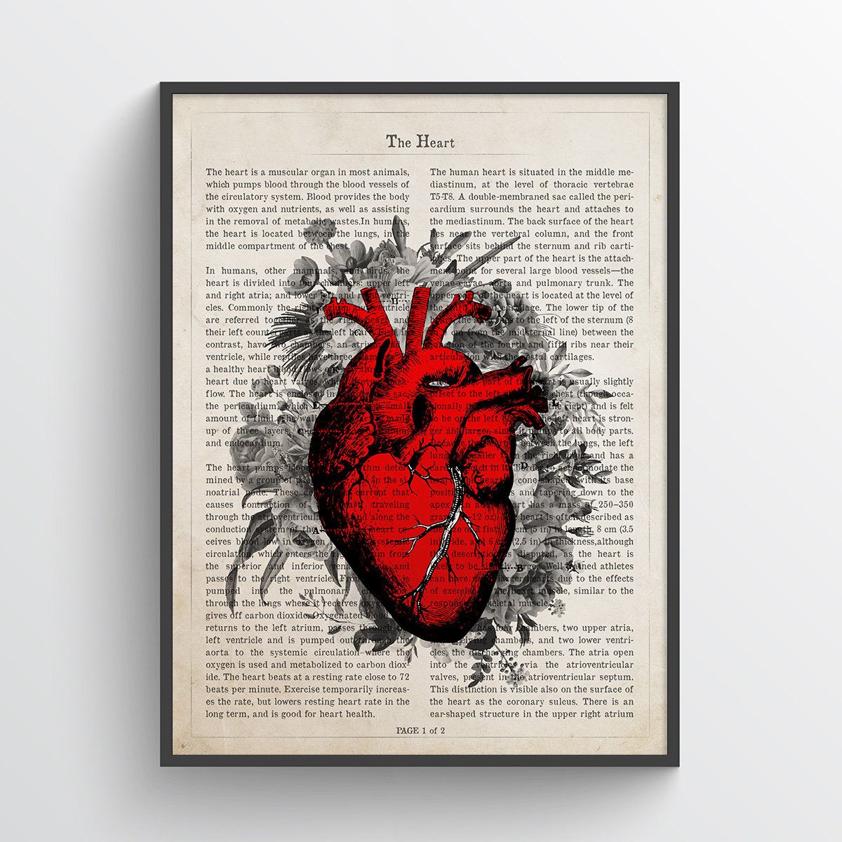 Cardiology Wallpapers