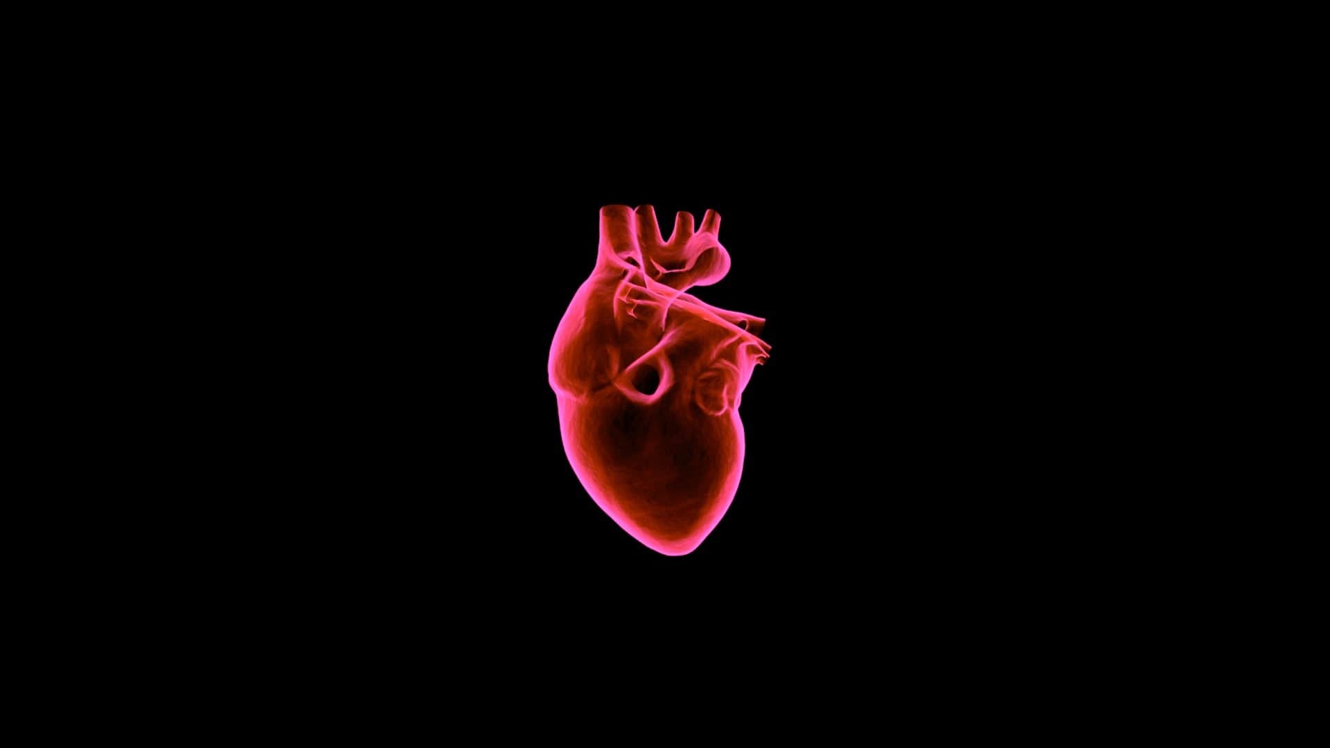 Cardiology Wallpapers