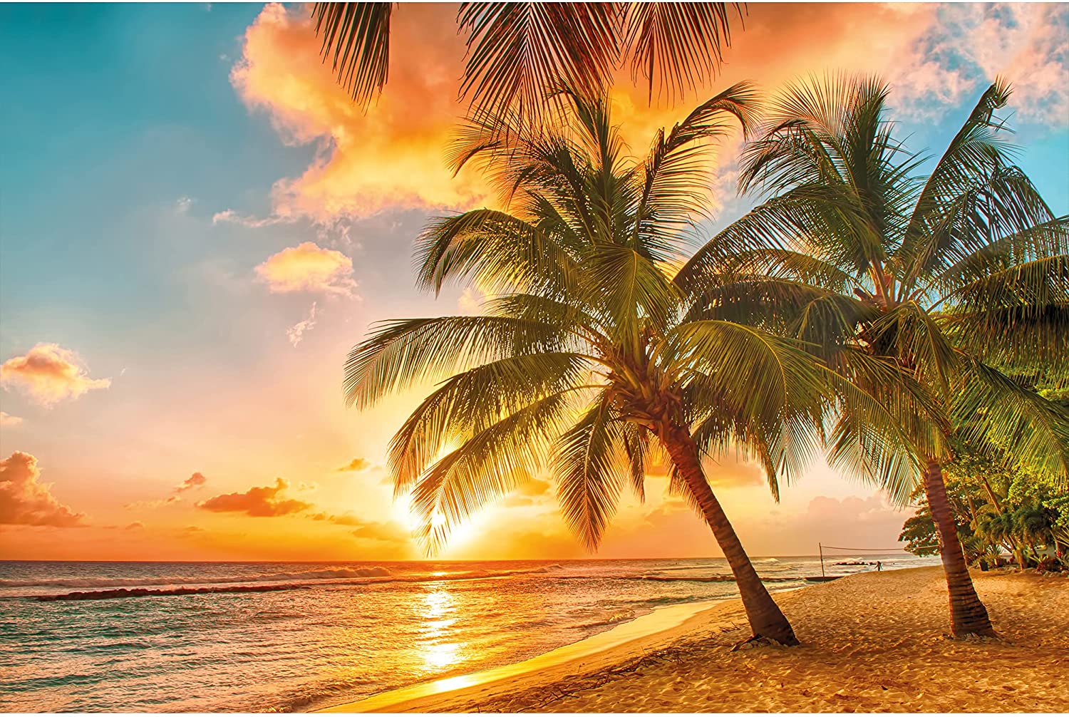 Caribbean Beach Sunset Wallpapers