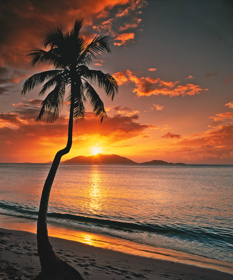 Caribbean Beach Sunset Wallpapers