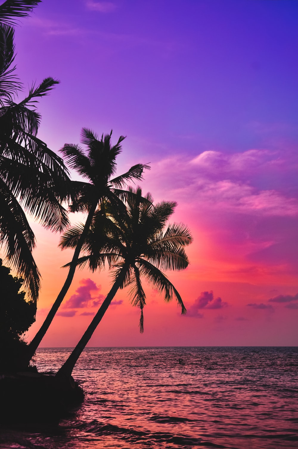 Caribbean Beach Sunset Wallpapers