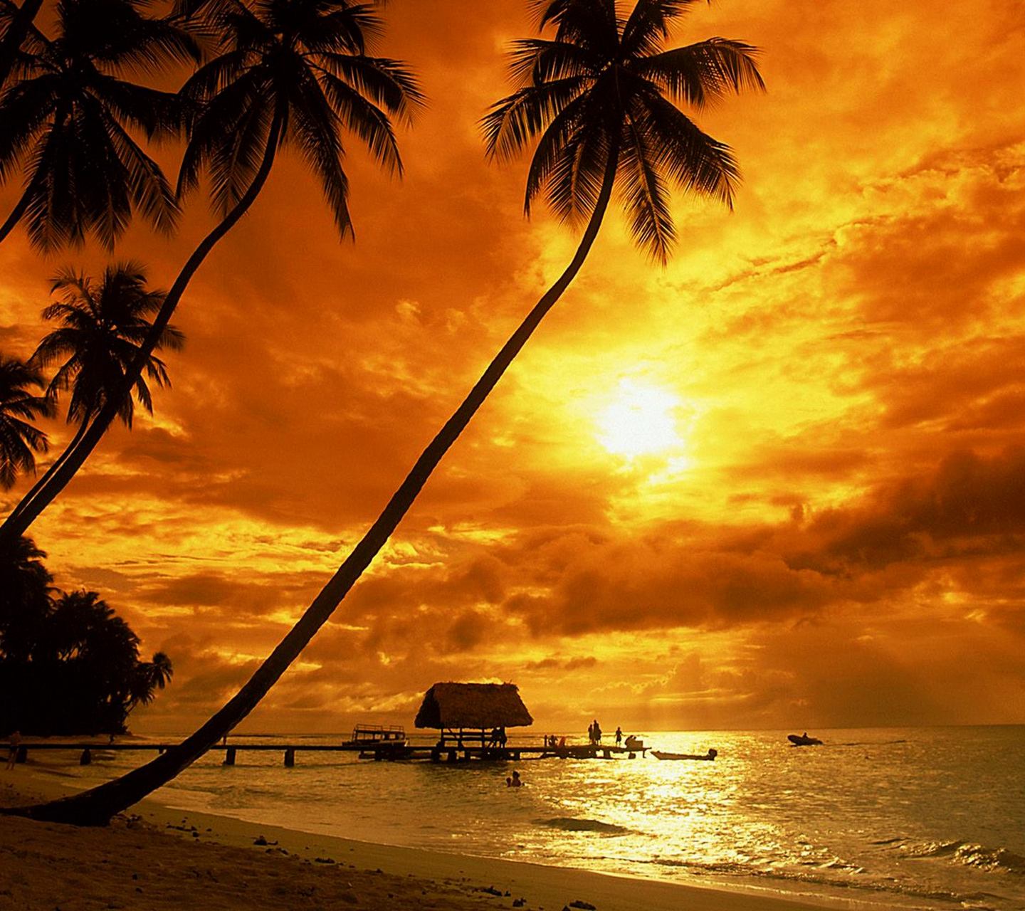 Caribbean Beach Sunset Wallpapers