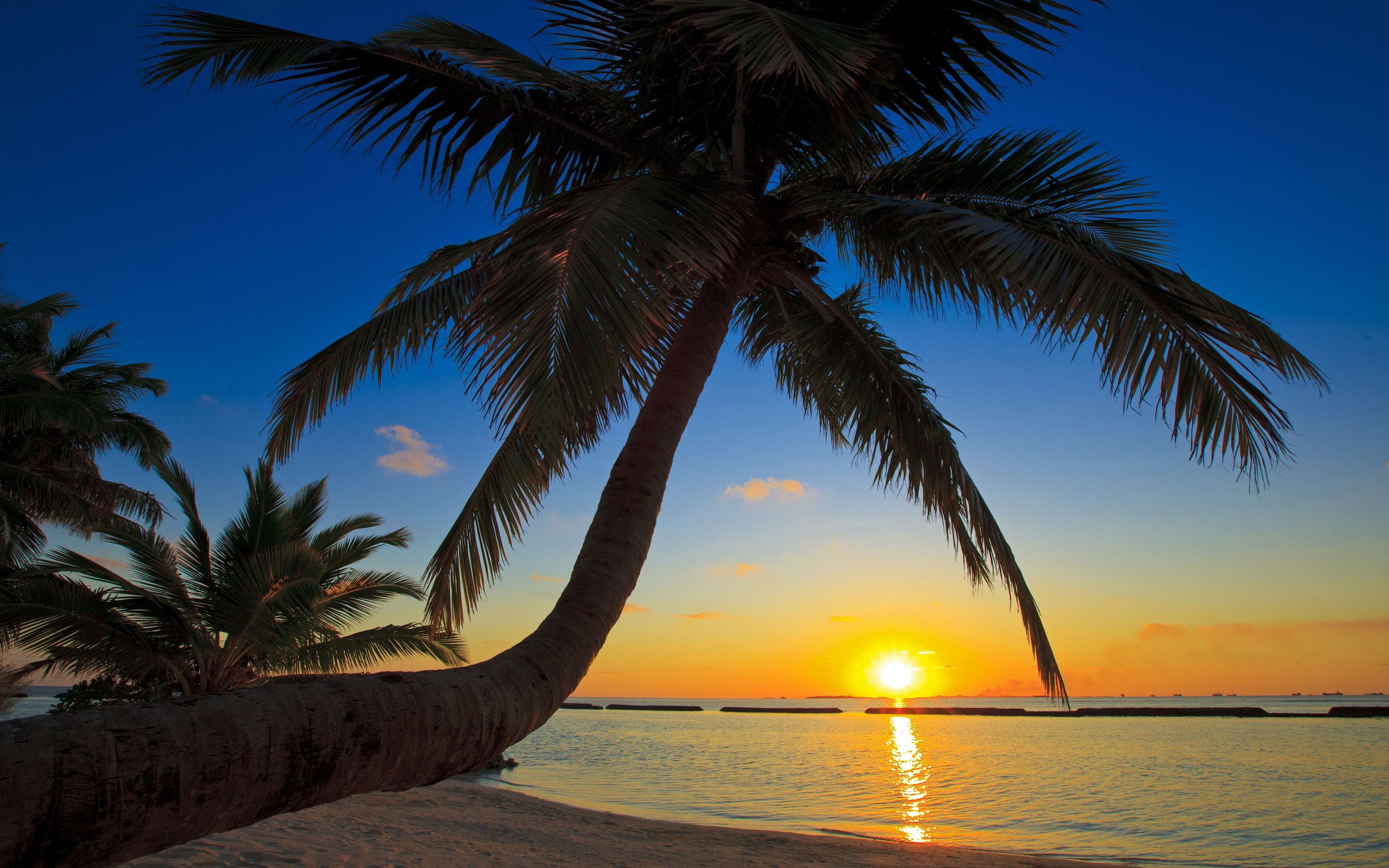 Caribbean Beach Sunset Wallpapers