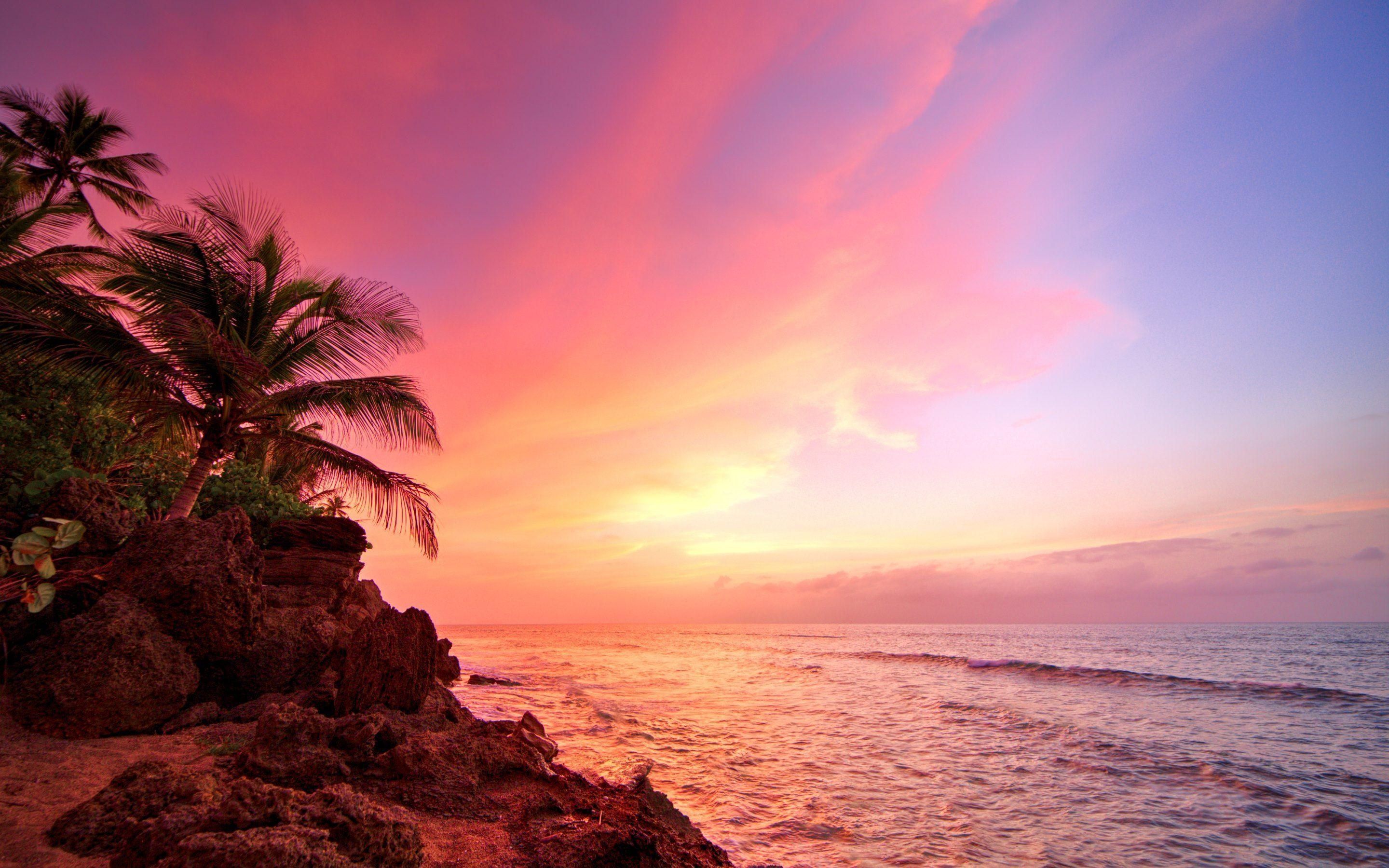 Caribbean Beach Sunset Wallpapers