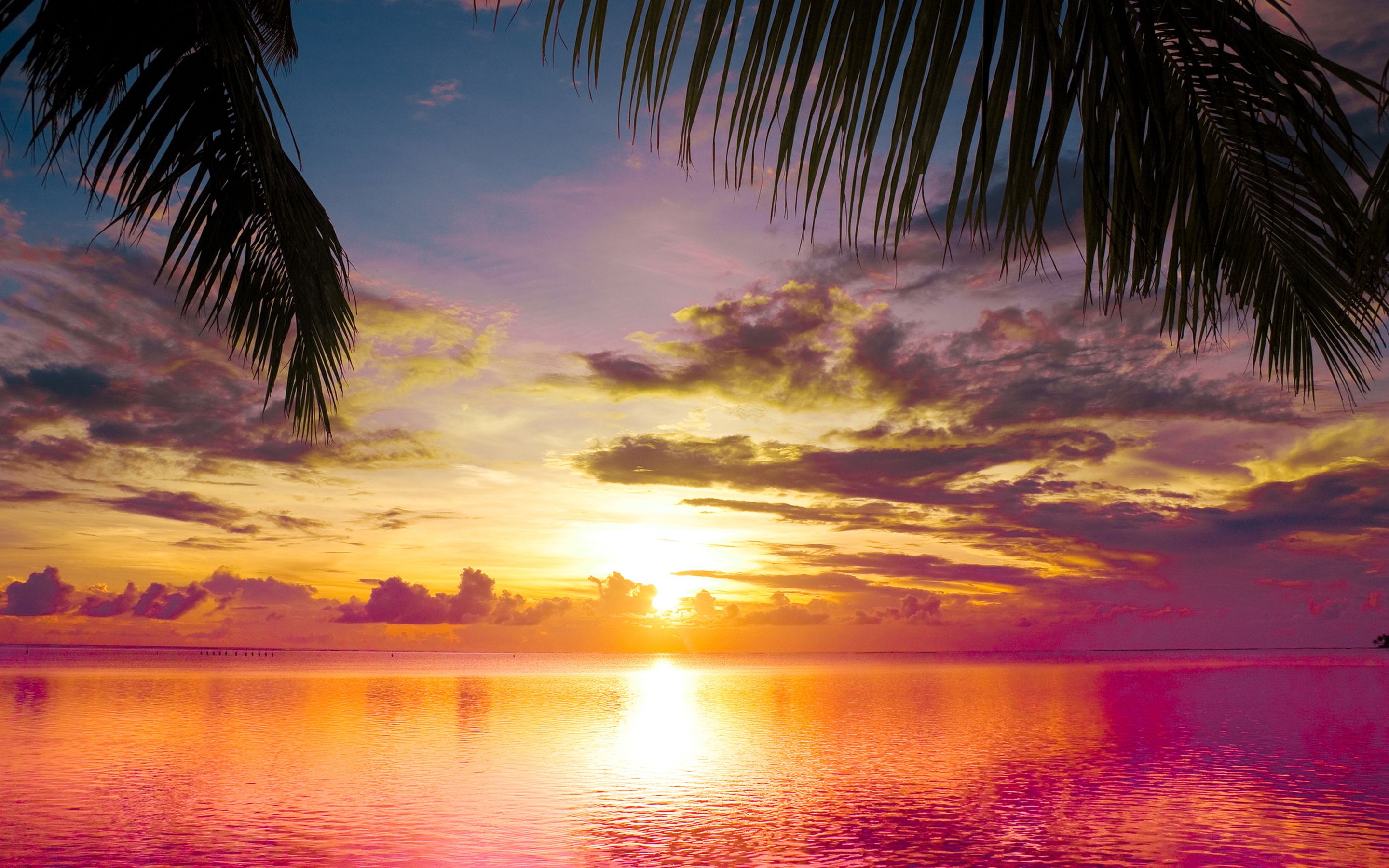 Caribbean Beach Sunset Wallpapers
