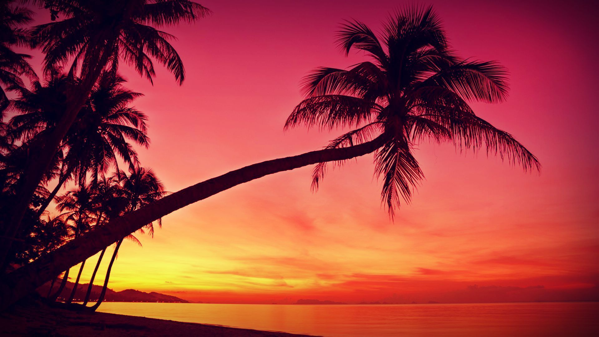 Caribbean Beach Sunset Wallpapers