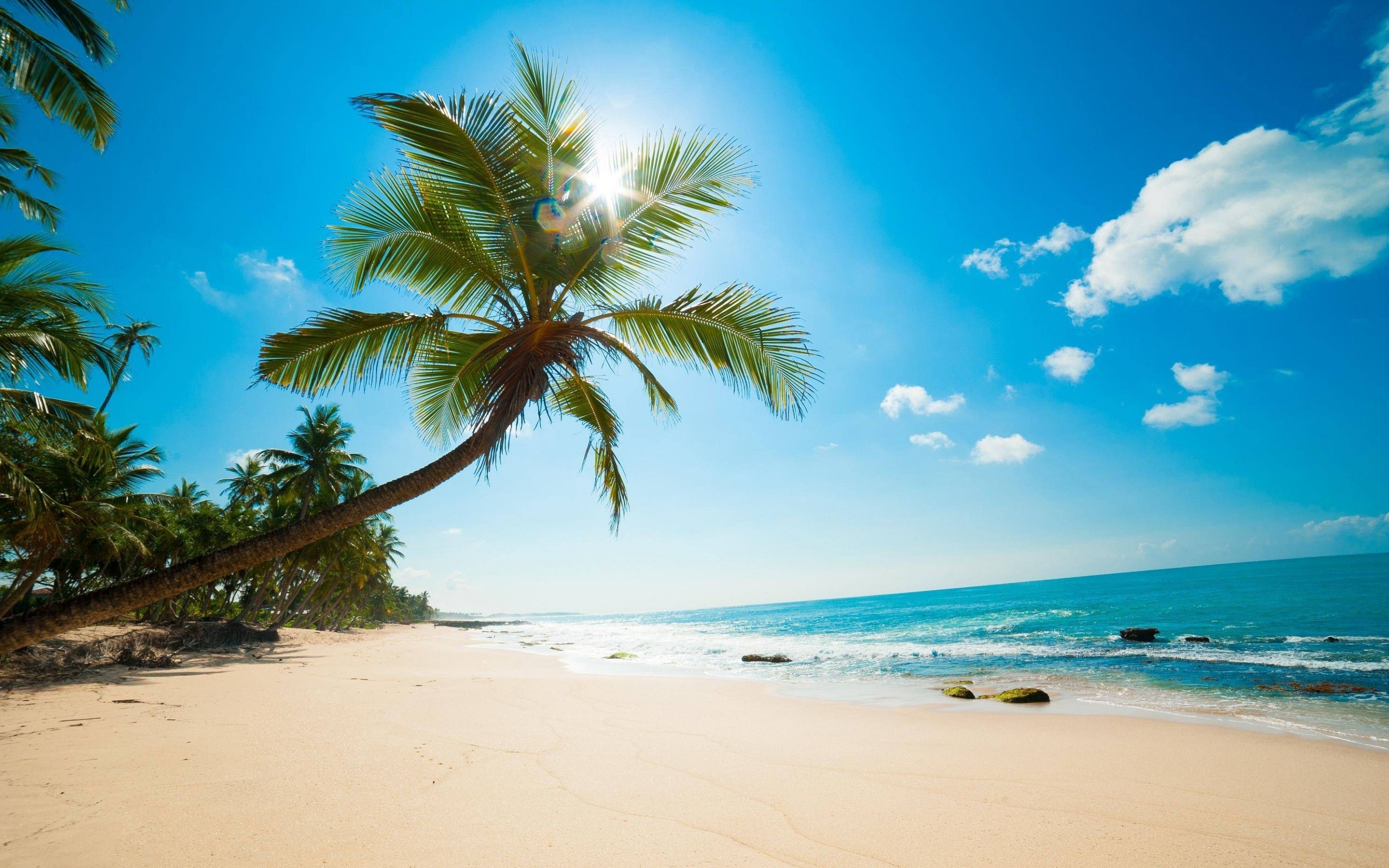 Caribbean Beach Wallpapers