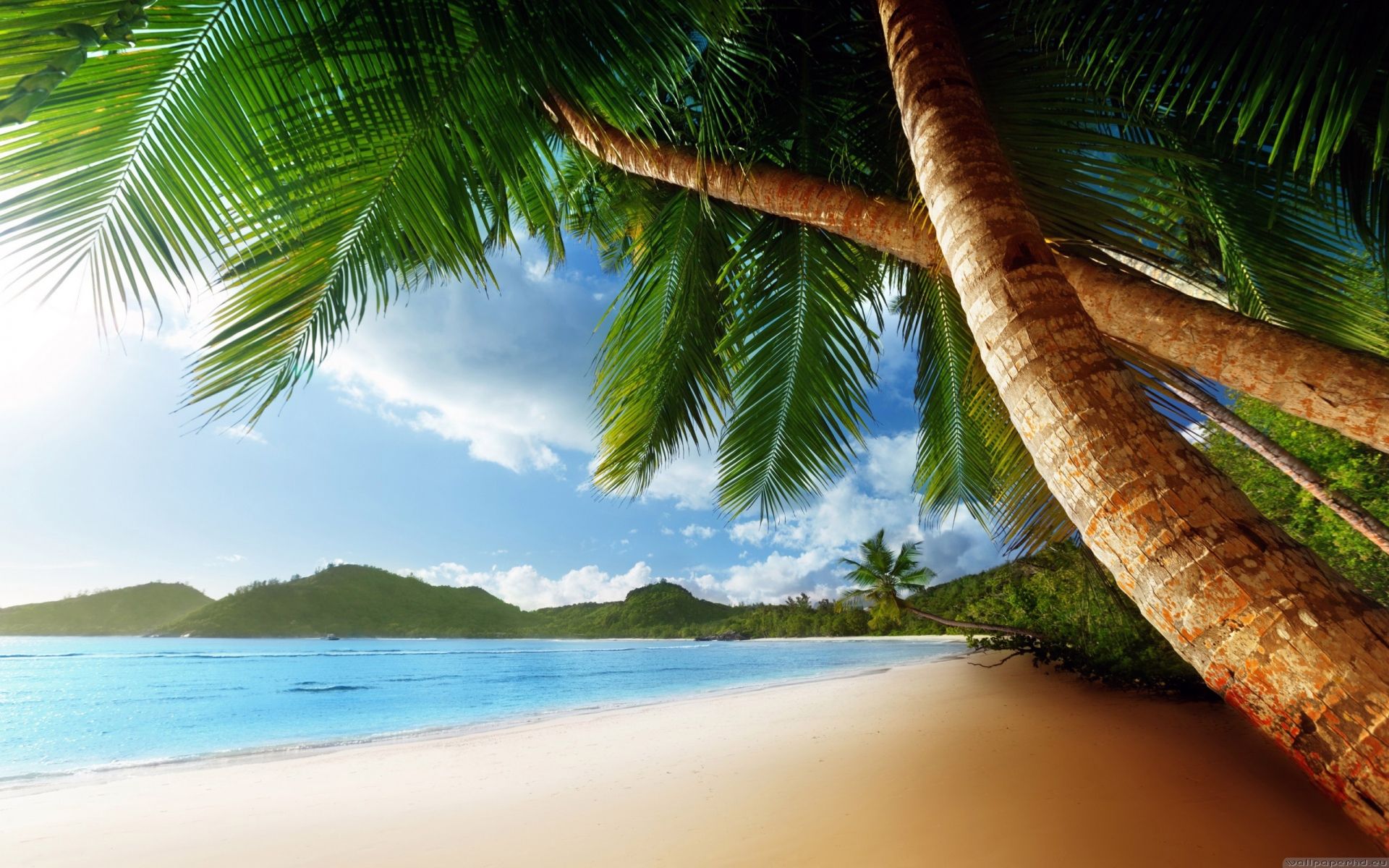 Caribbean Beach Wallpapers