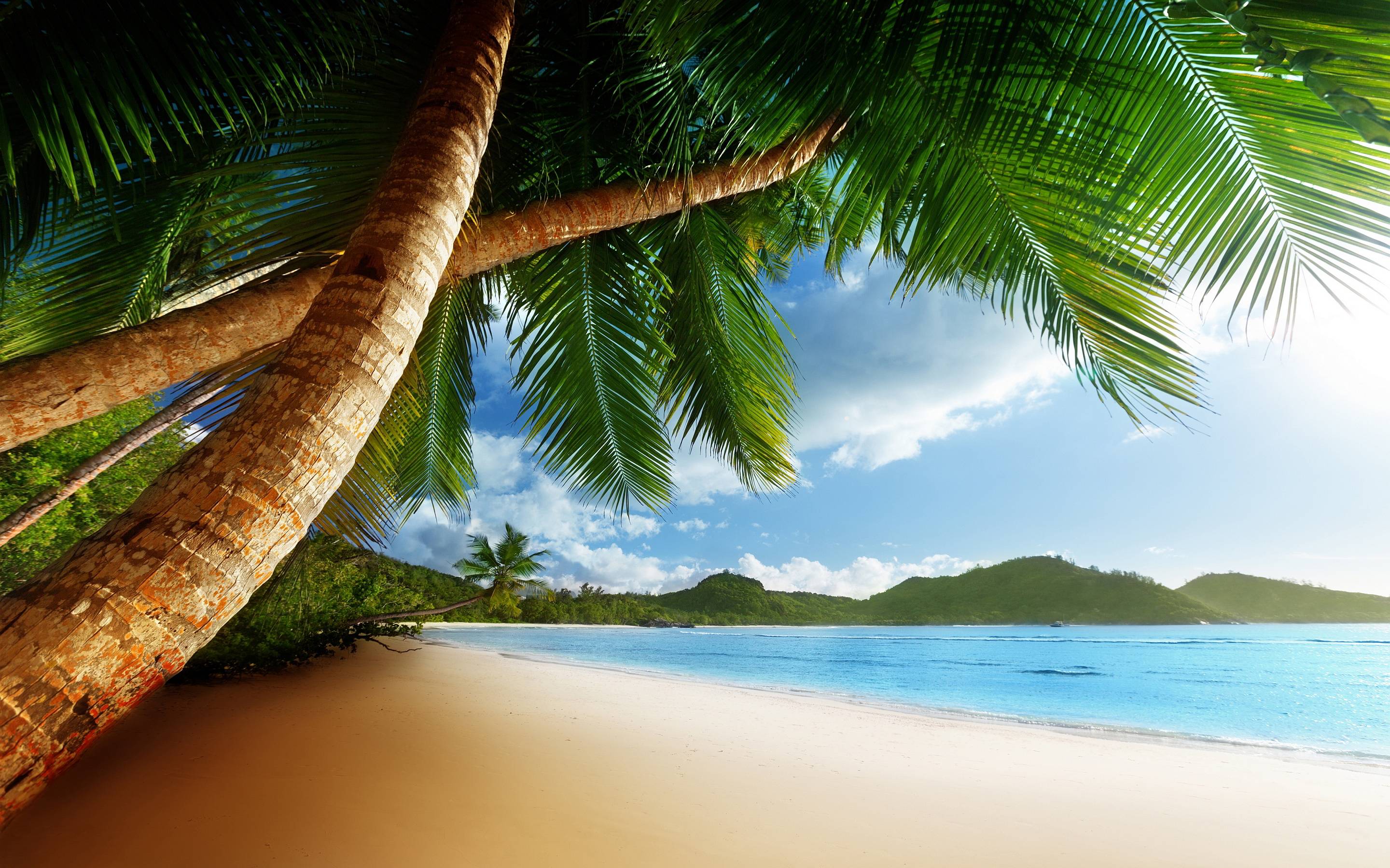 Caribbean Beach Wallpapers