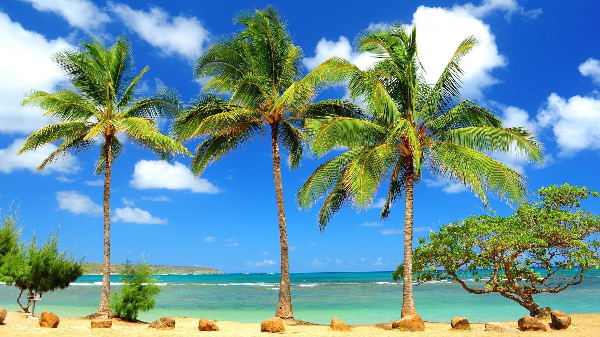 Caribbean Beach Wallpapers