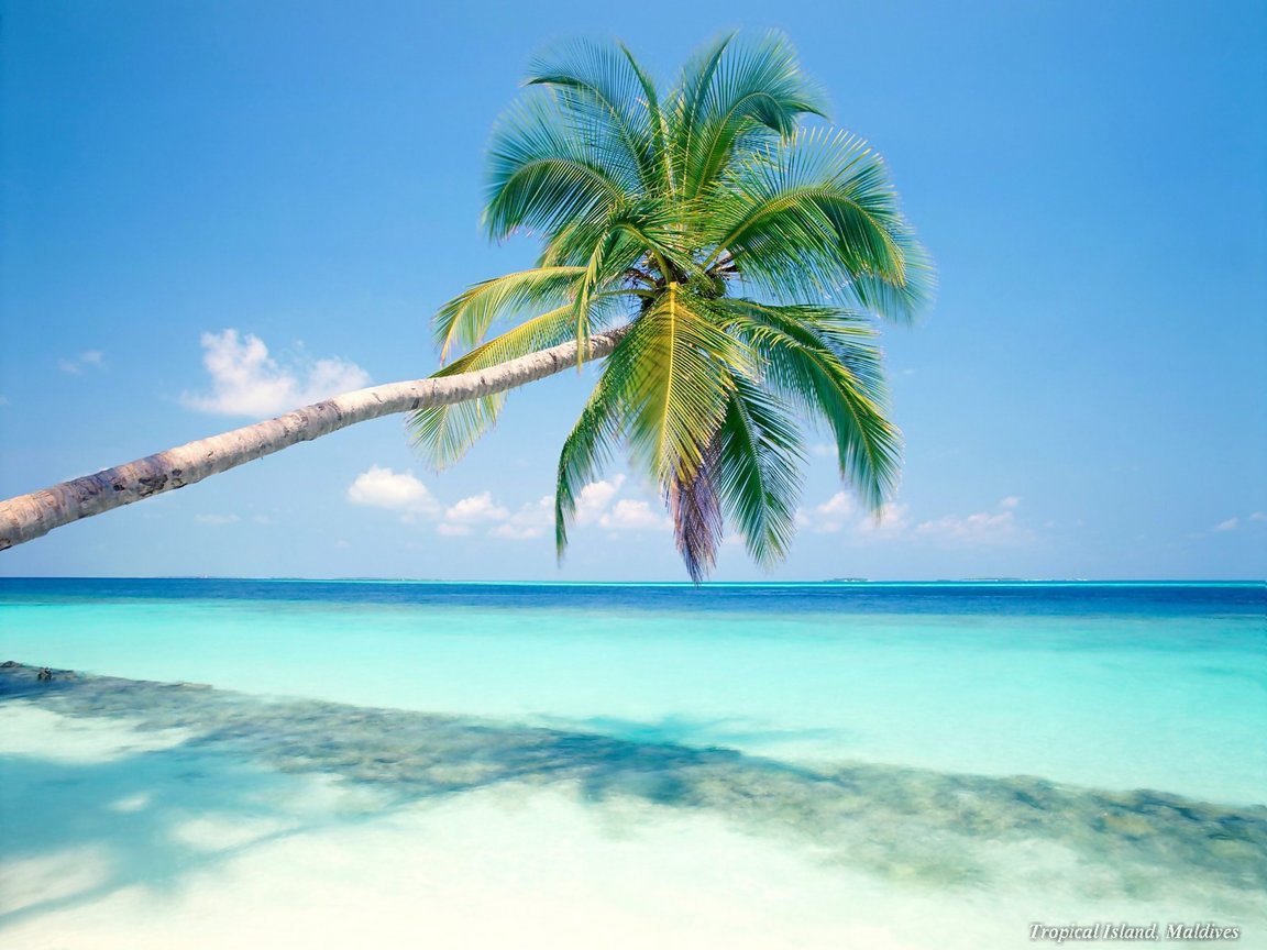 Caribbean Beach Wallpapers