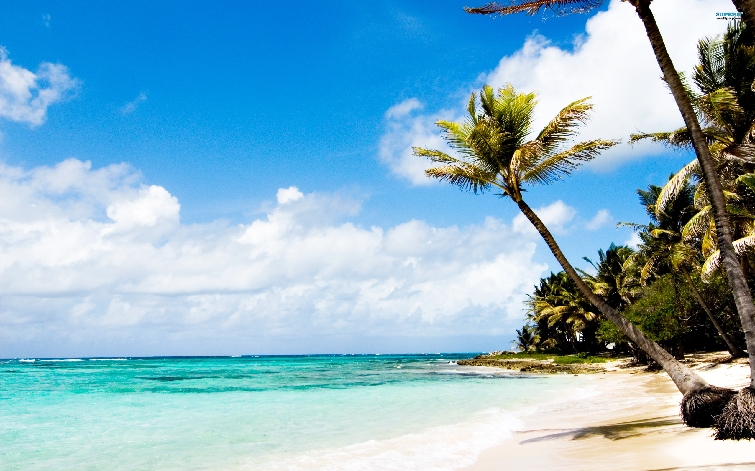 Caribbean Beach Wallpapers