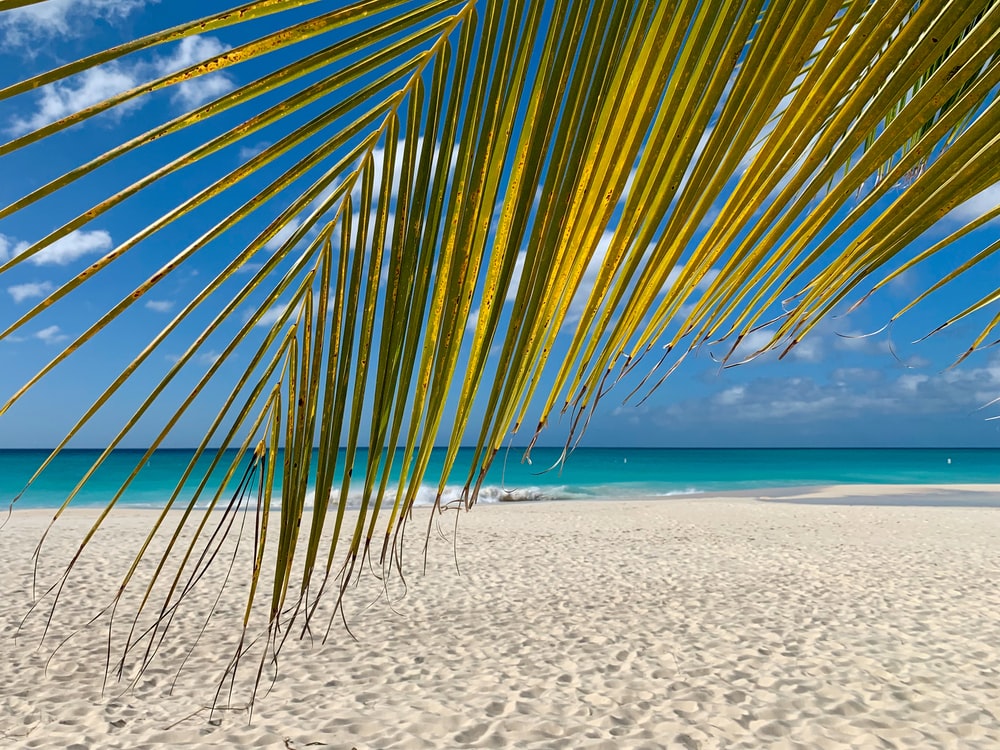 Caribbean Beach Wallpapers