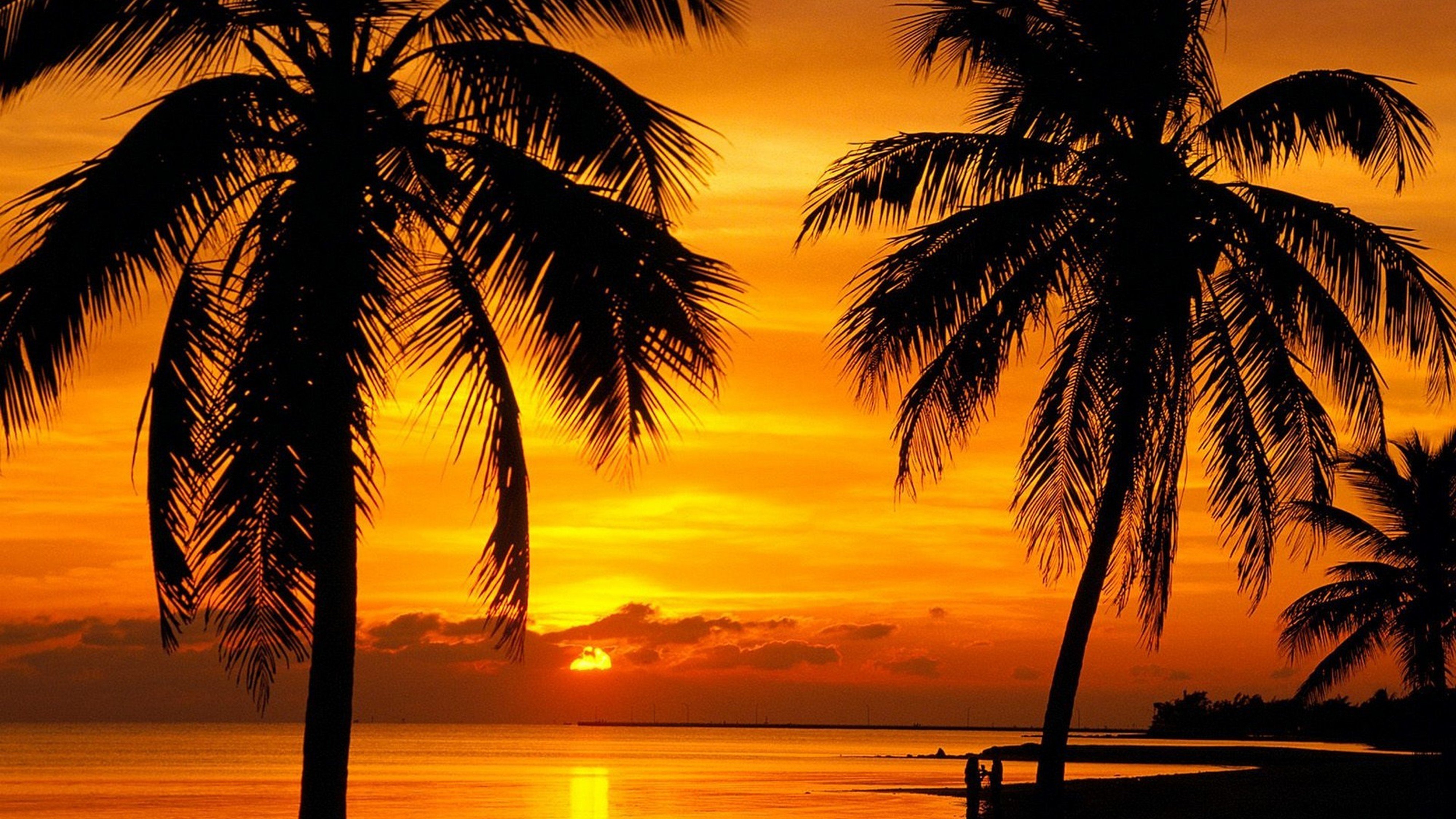 Caribbean Sunsets Wallpapers