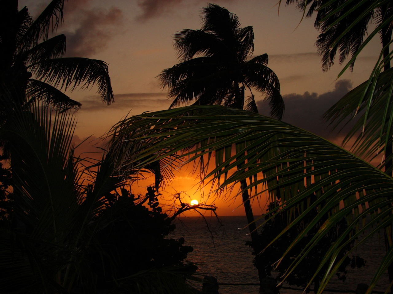 Caribbean Sunsets Wallpapers