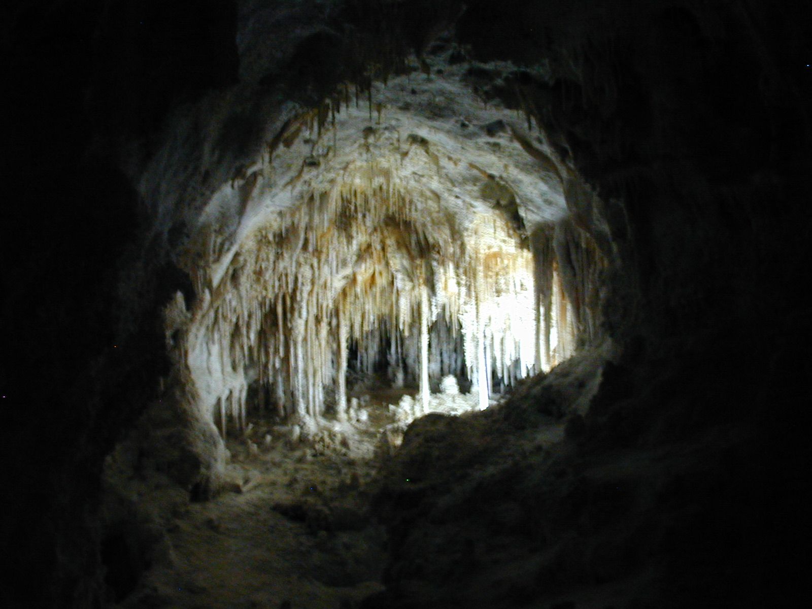 Carlsbad Caverns National Park Wallpapers